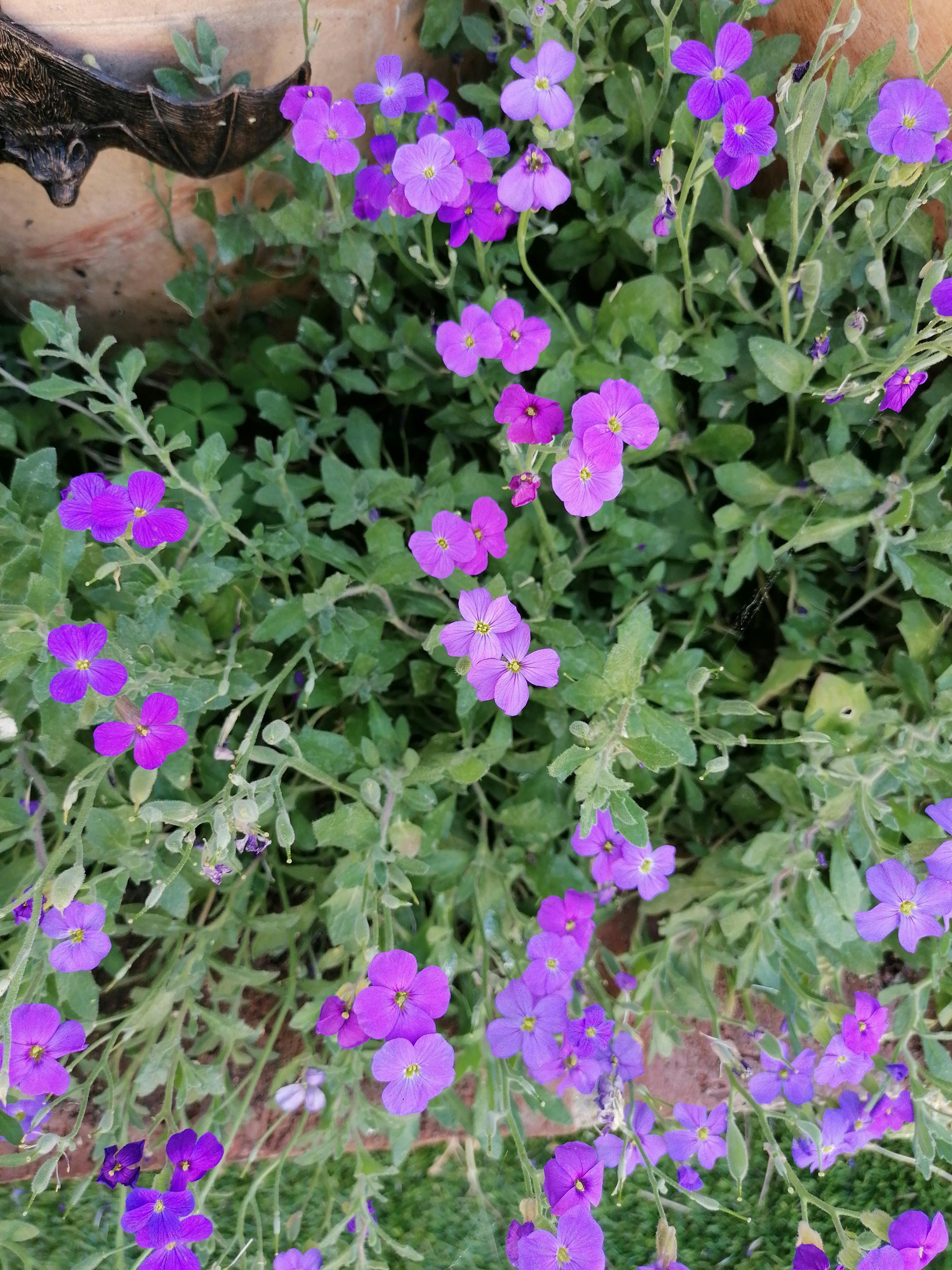 user avatar image for Zoe Seymour-Turner