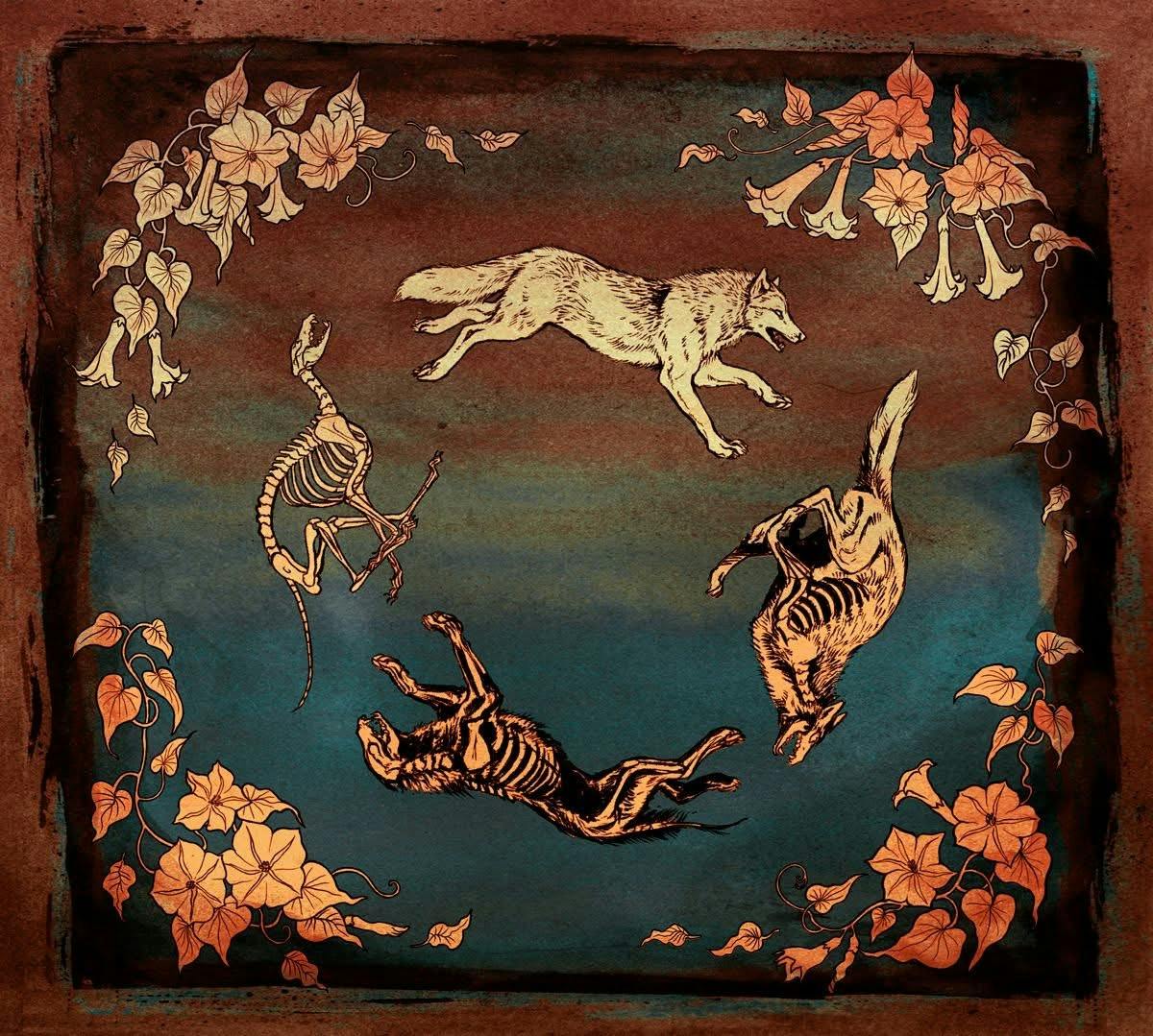 user avatar image for Kiba