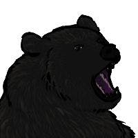 user avatar image for Konrad Baś