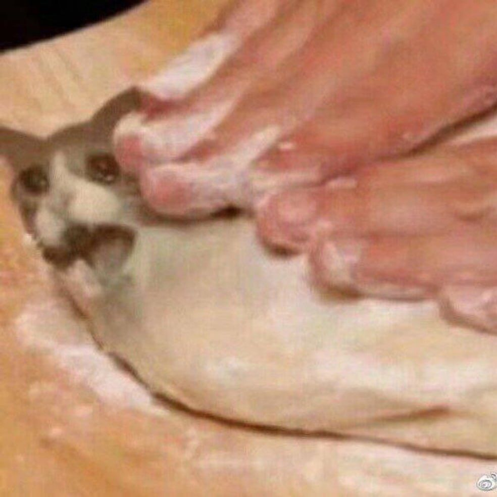 user avatar image for TortillaTheHun