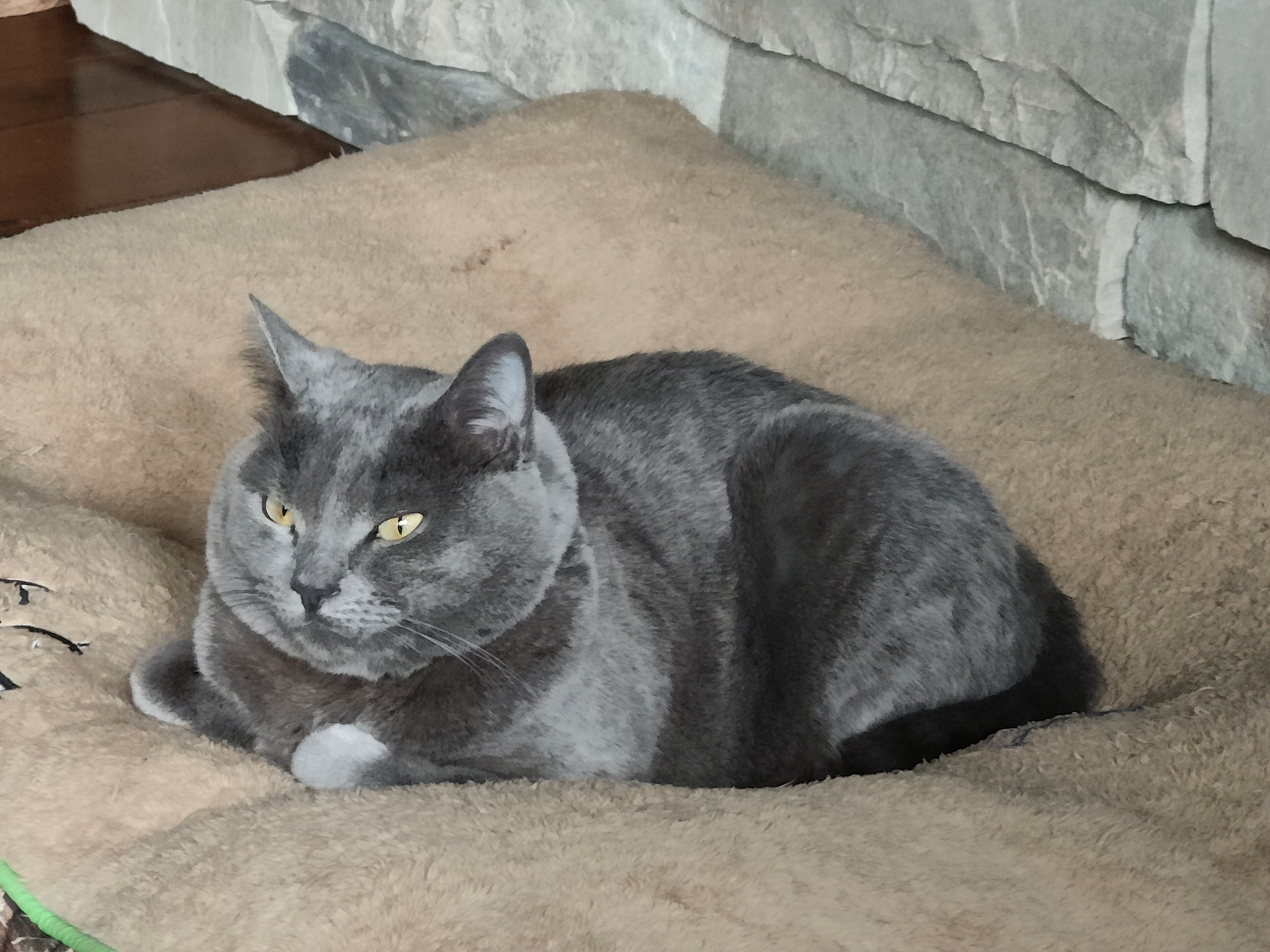 user avatar image for Rouge Eclipser