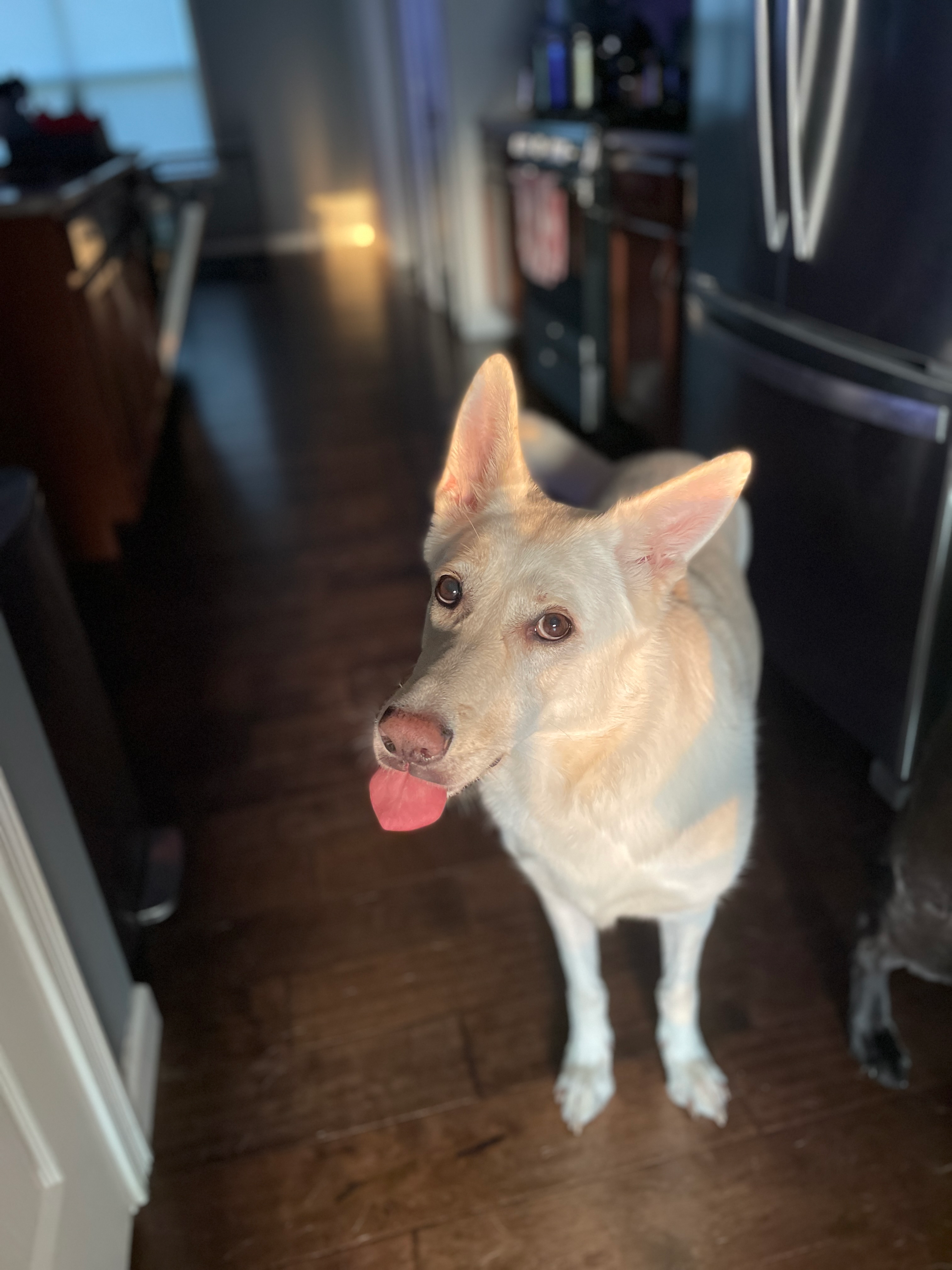 user avatar image for Ryan