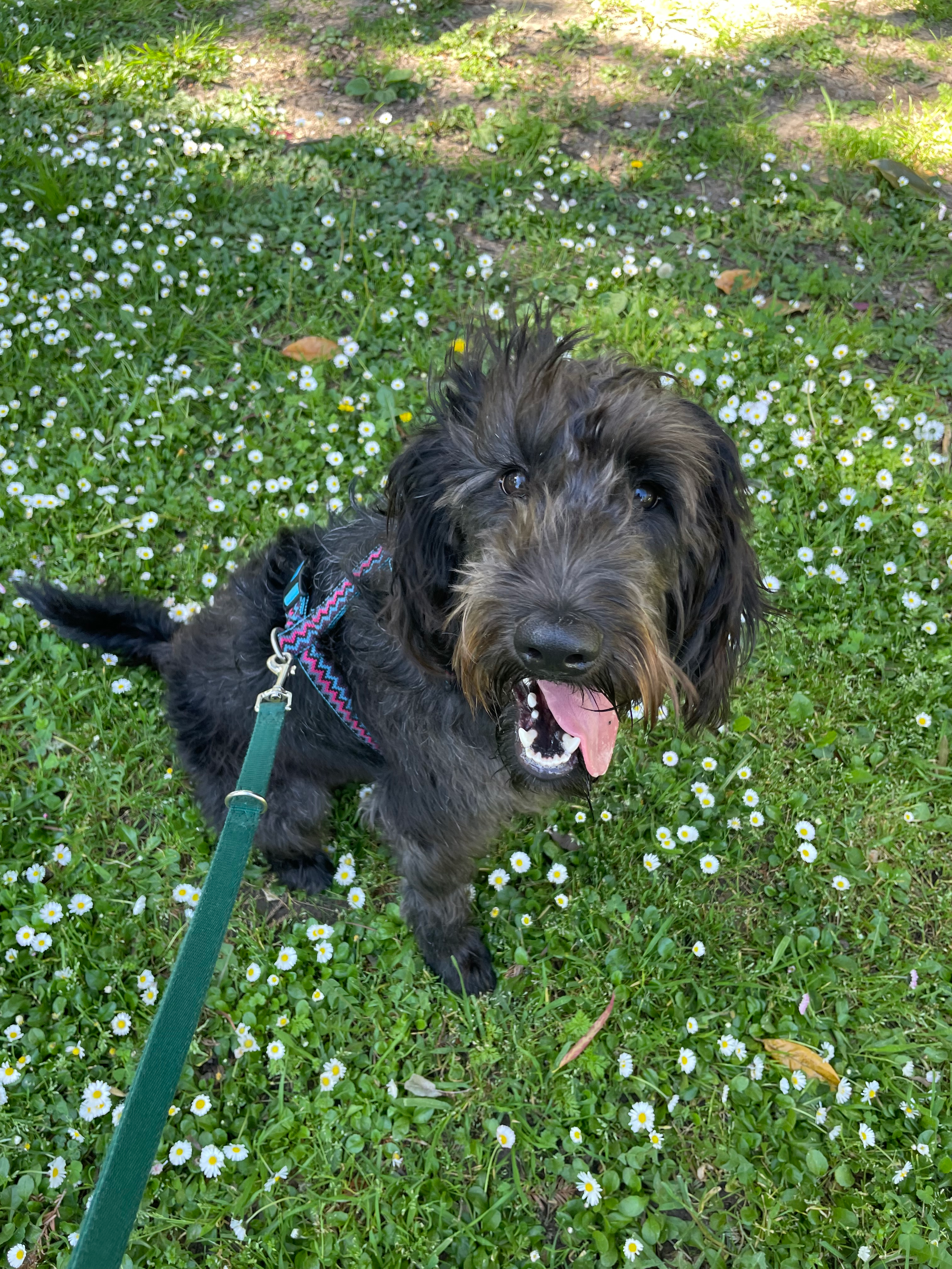 user avatar image for Kaitlin Androsky