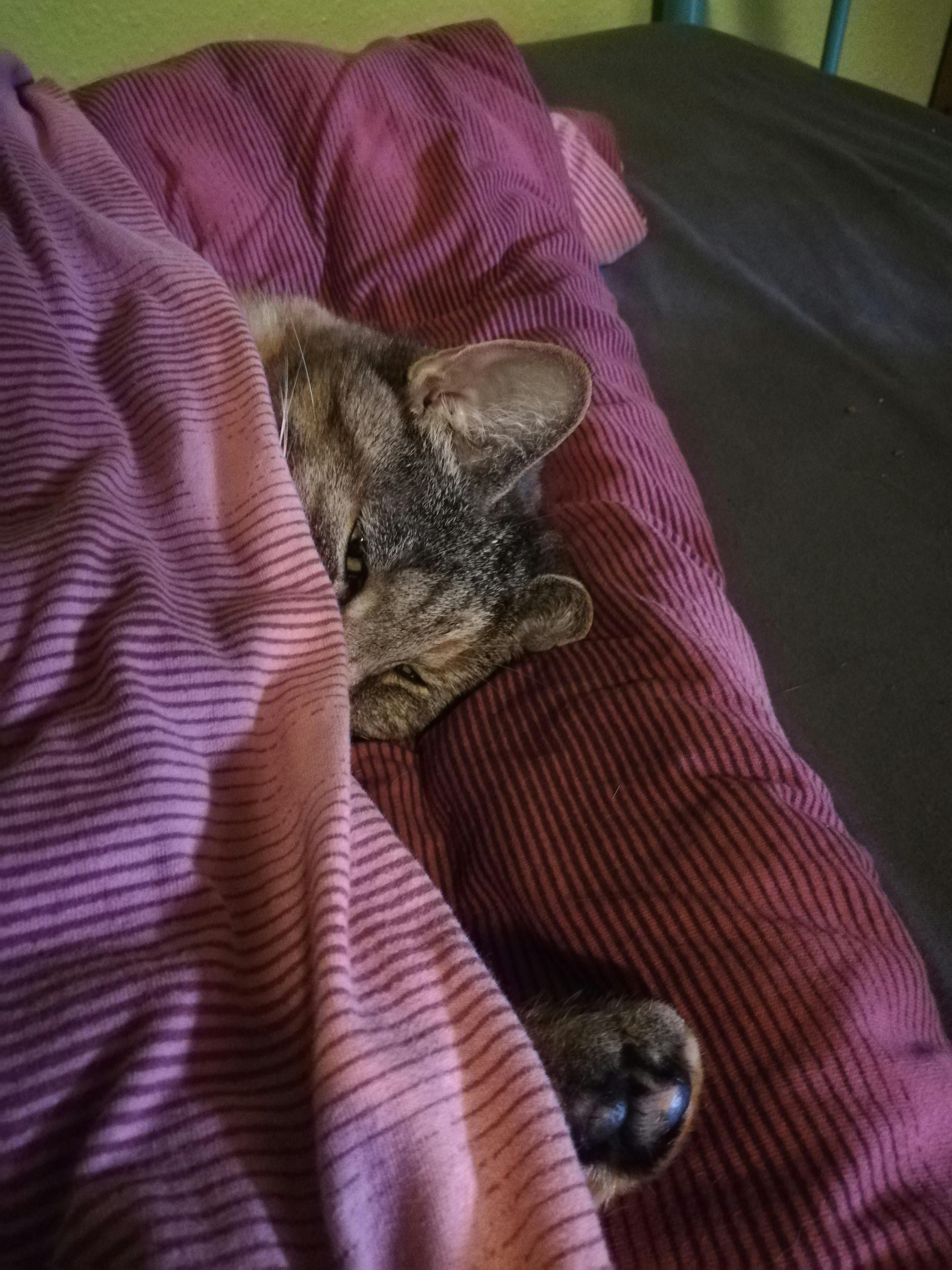 user avatar image for Alunya