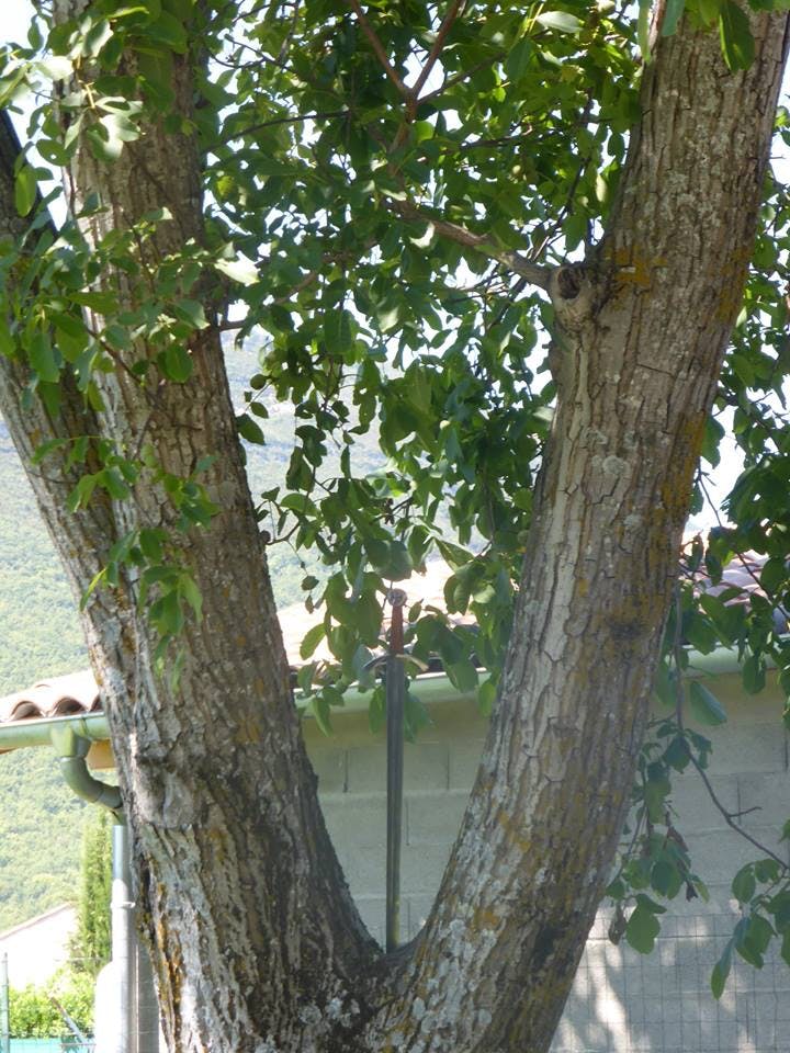 user avatar image for lesciuride