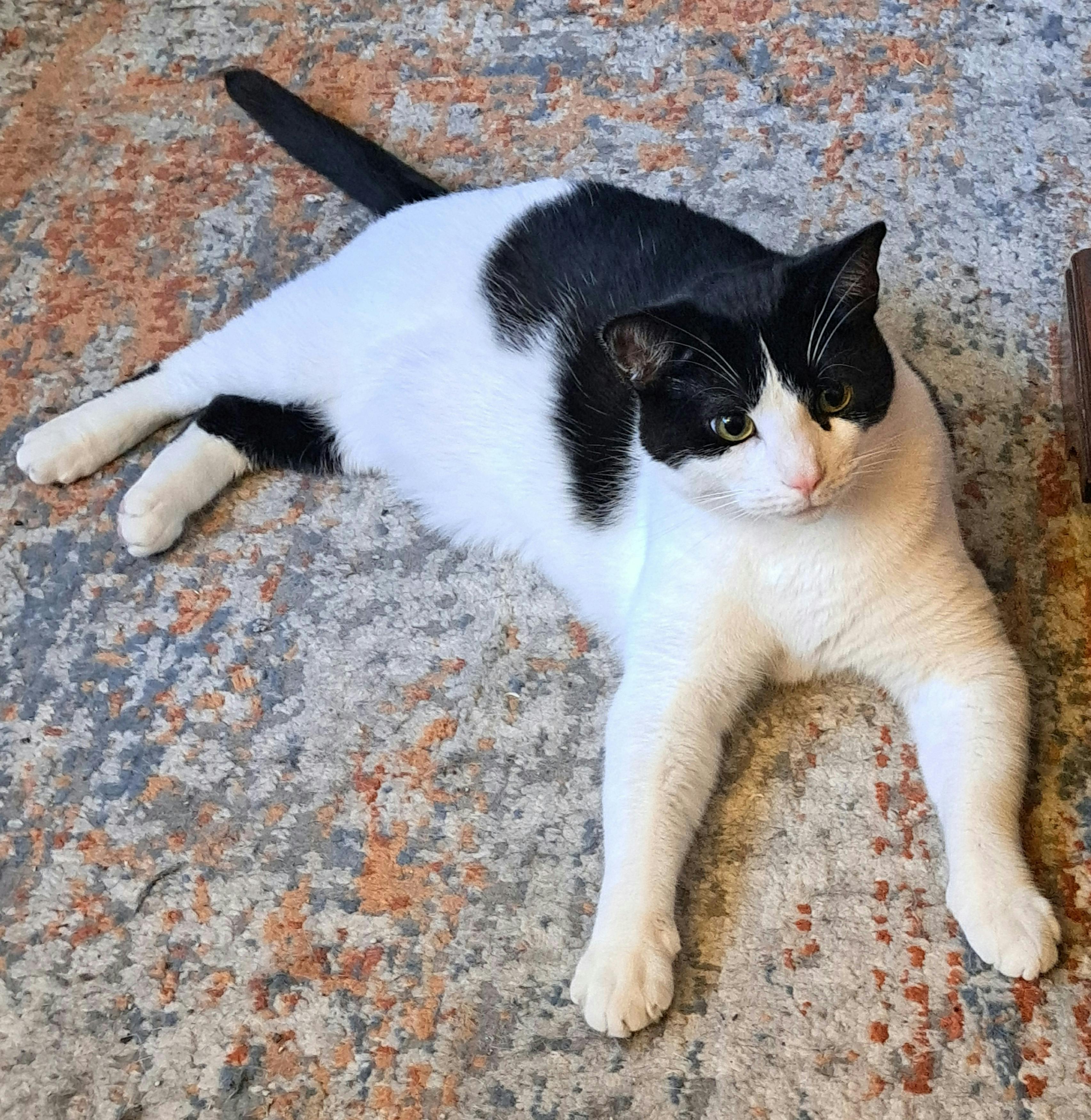 user avatar image for Joshua Bradbury