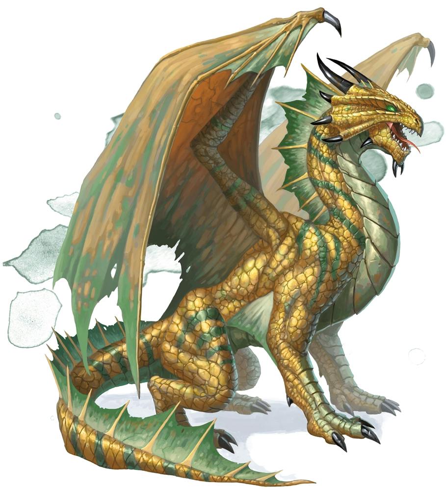 user avatar image for Br0nz3Dragon