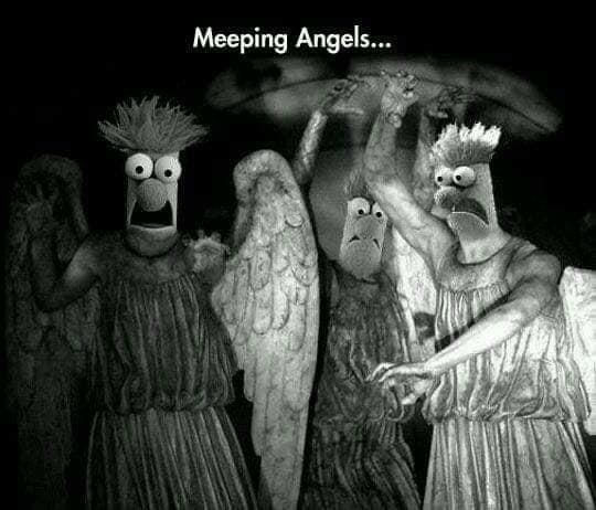 user avatar image for Klorr