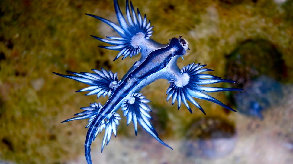 user avatar image for Ben Bidmead