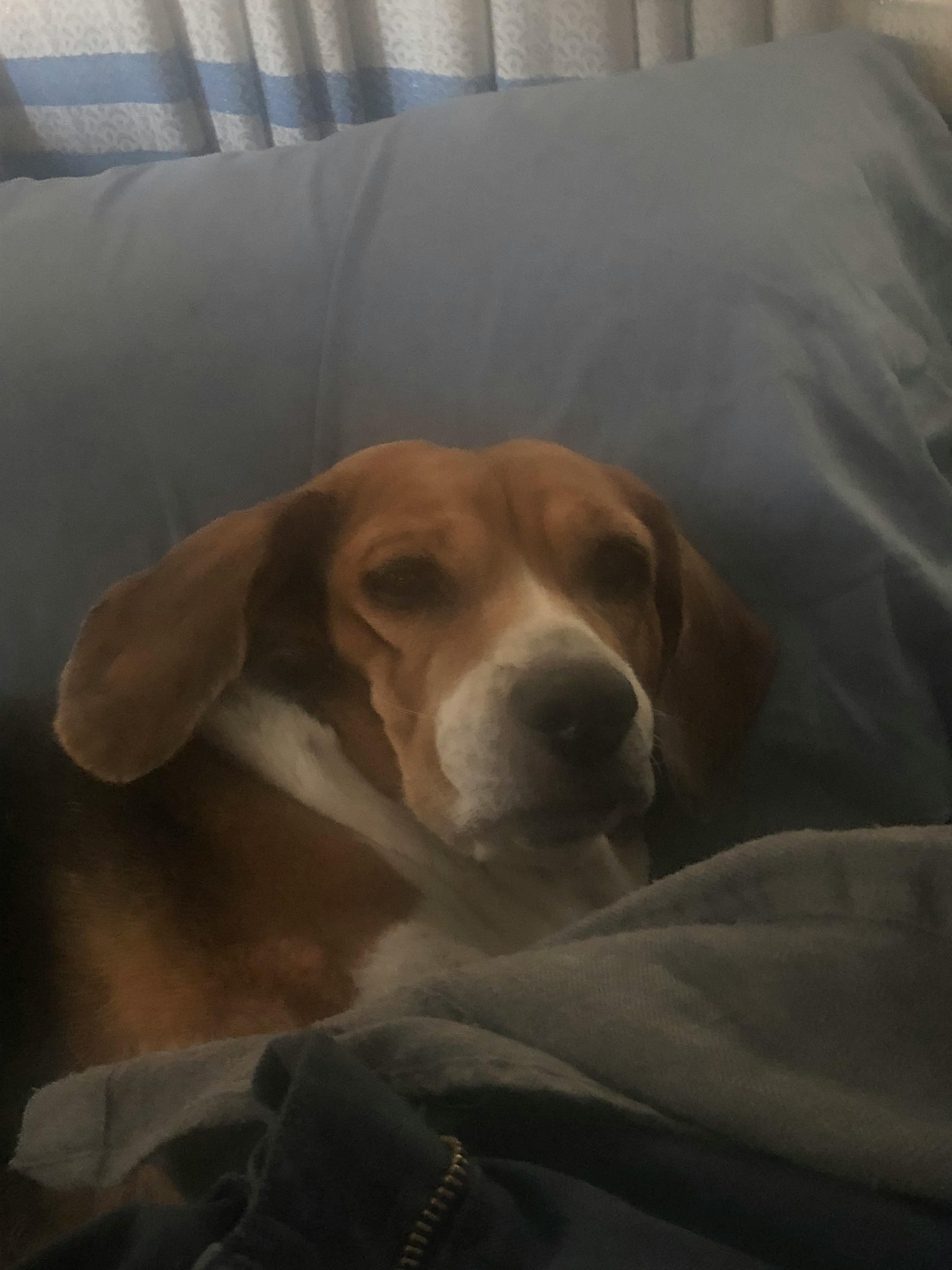 user avatar image for Solstice