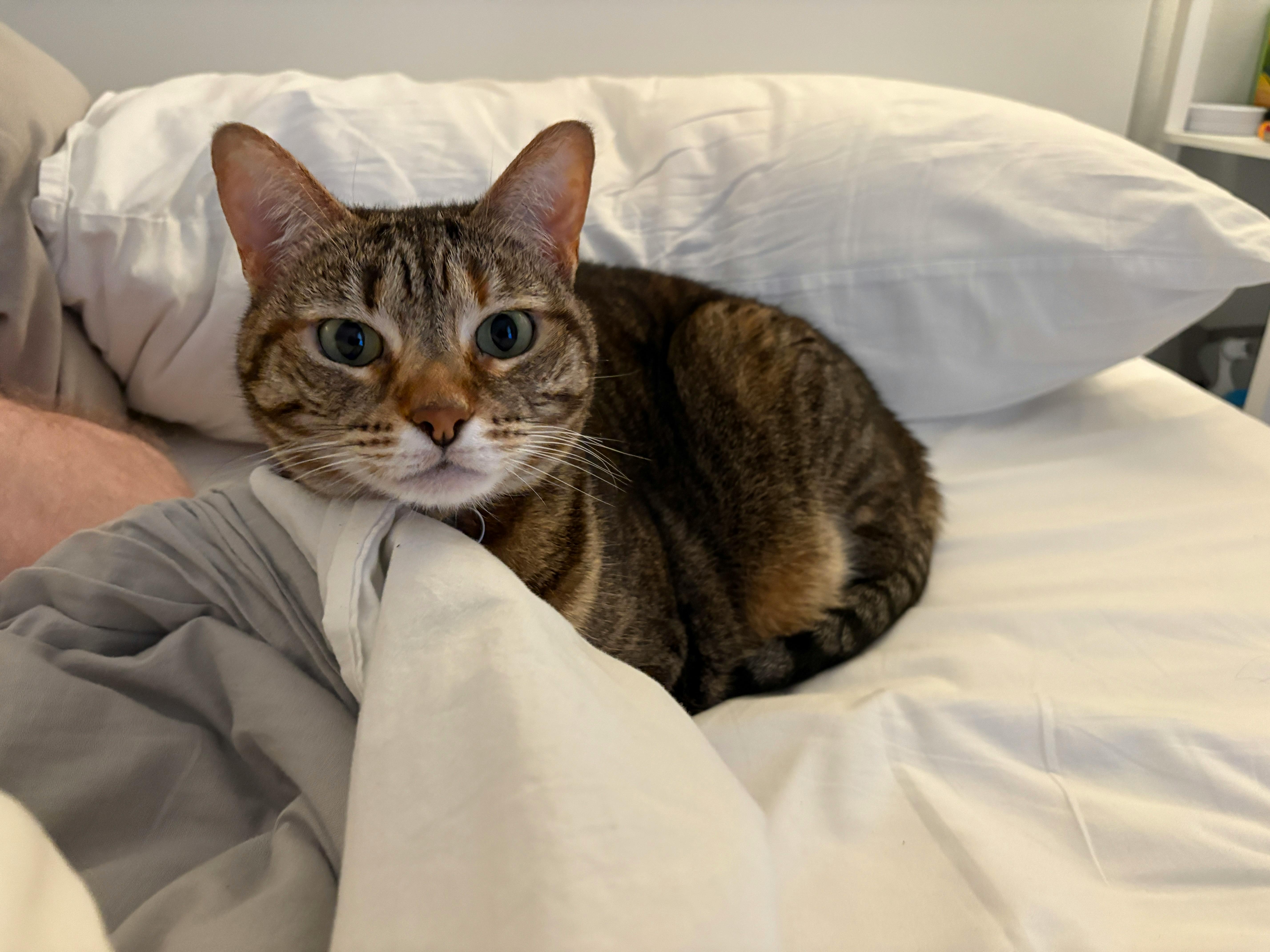 user avatar image for Rebecca Partington