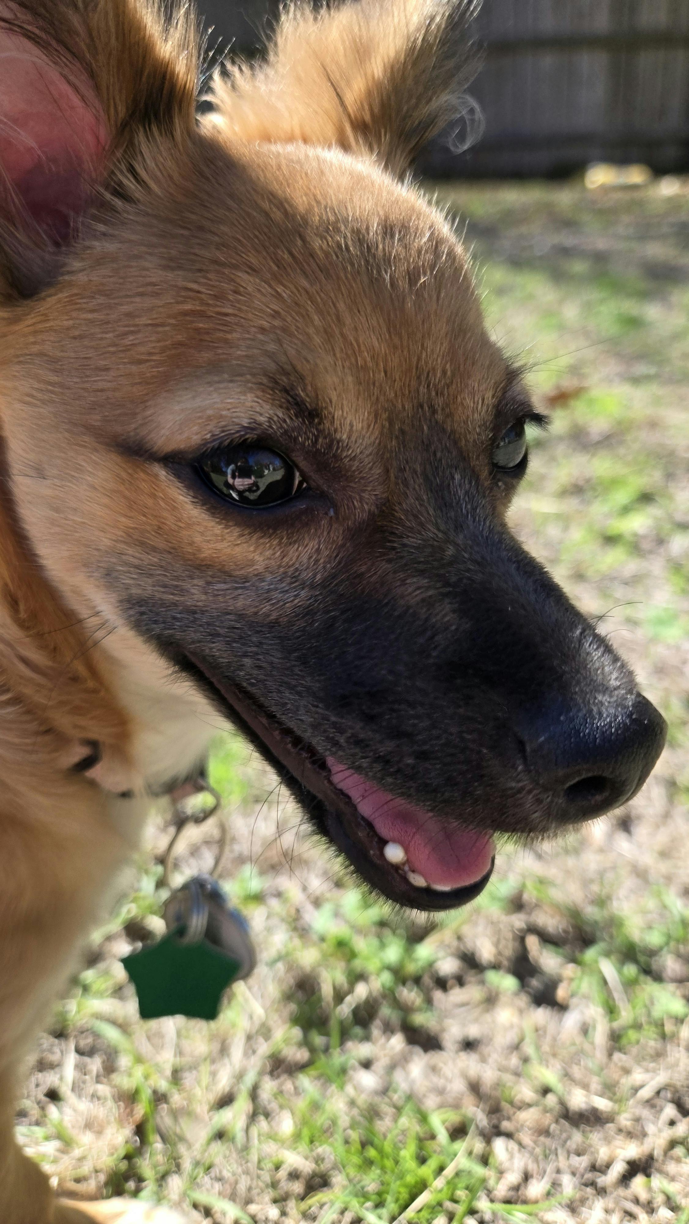 user avatar image for Audrey Arroniz