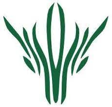 user avatar image for James Daniel