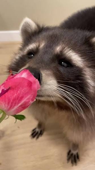 user avatar image for Bear