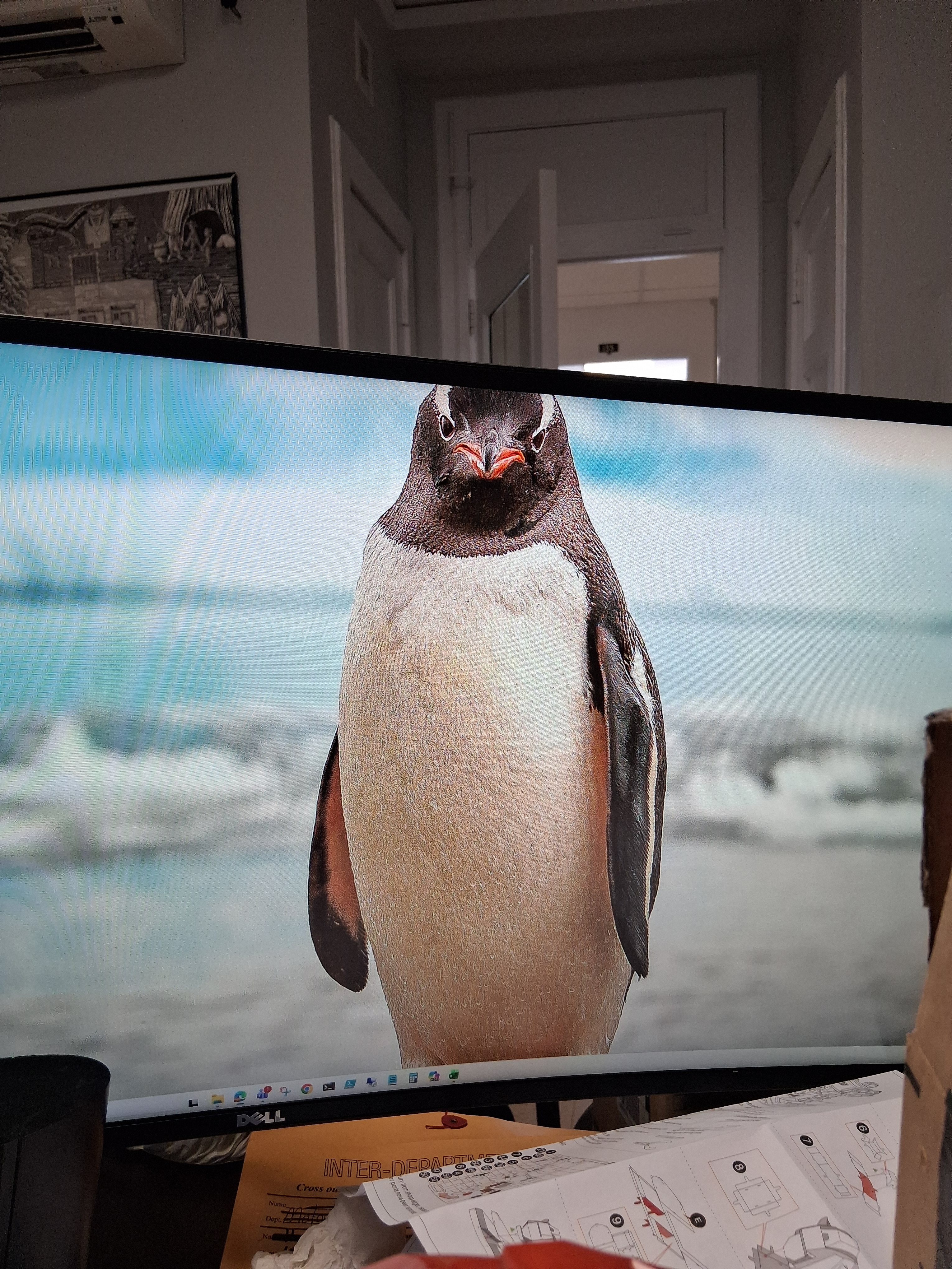 user avatar image for Glenn Davenport