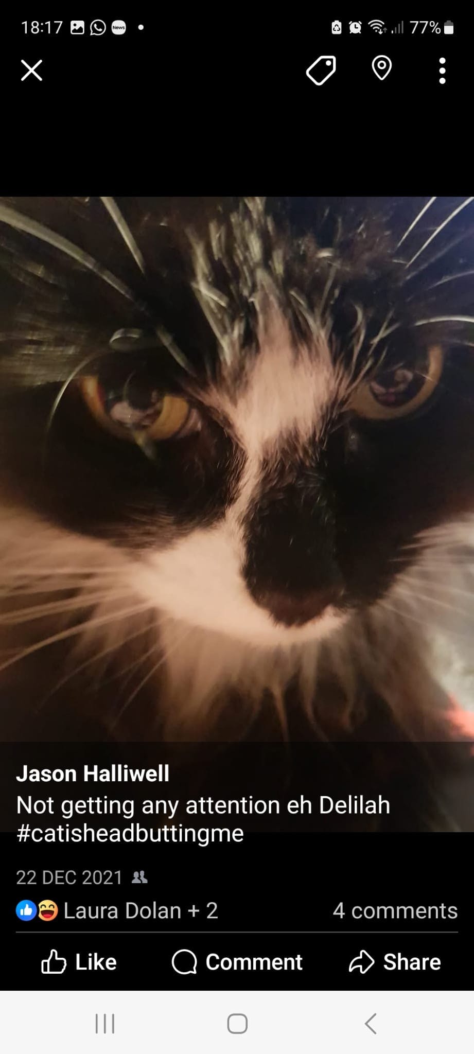 user avatar image for YouthfulLoki