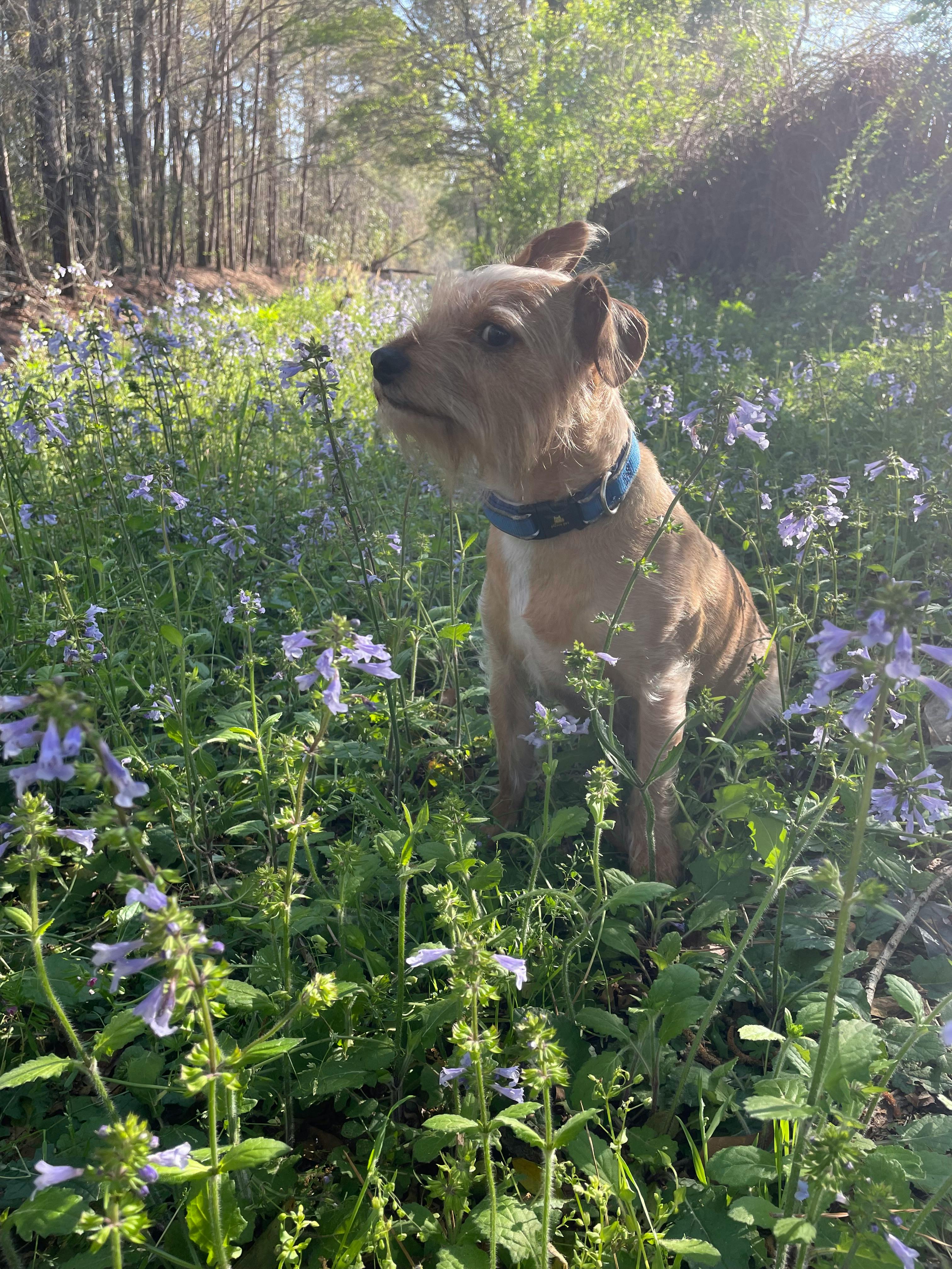 user avatar image for Tammy Sprecher