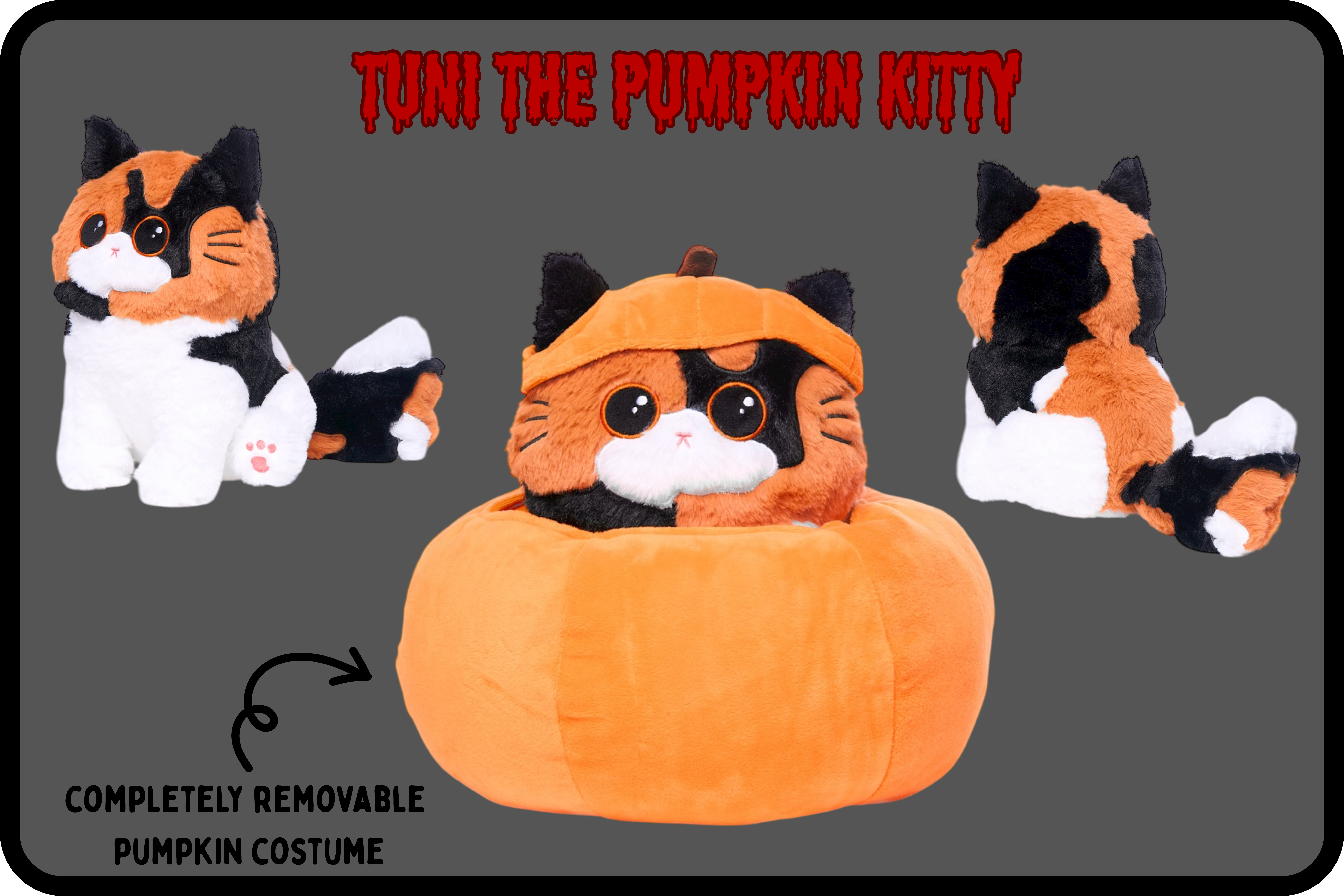 Let's Unlock Tuni the Pumpkin Kitty!