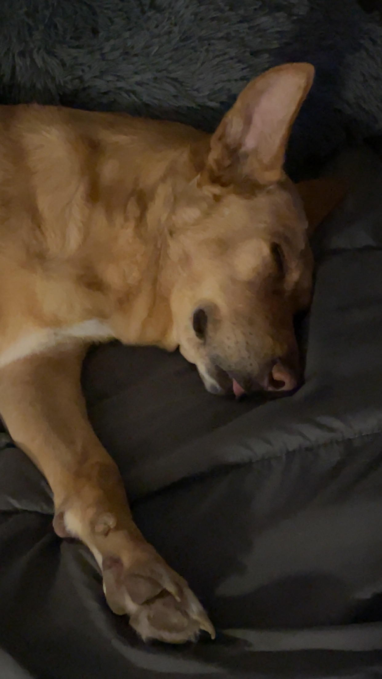 user avatar image for KP