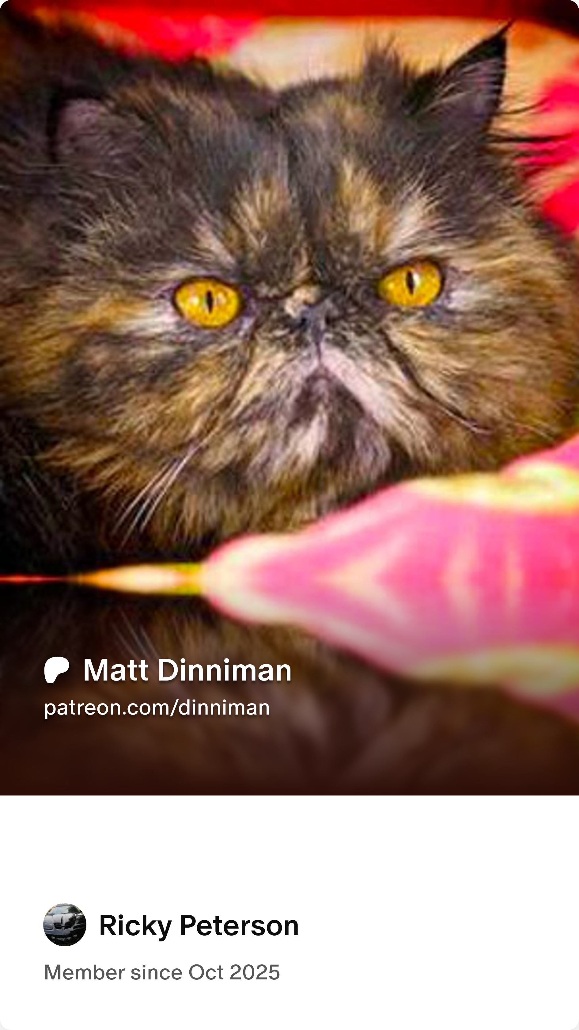 user avatar image for Ricky