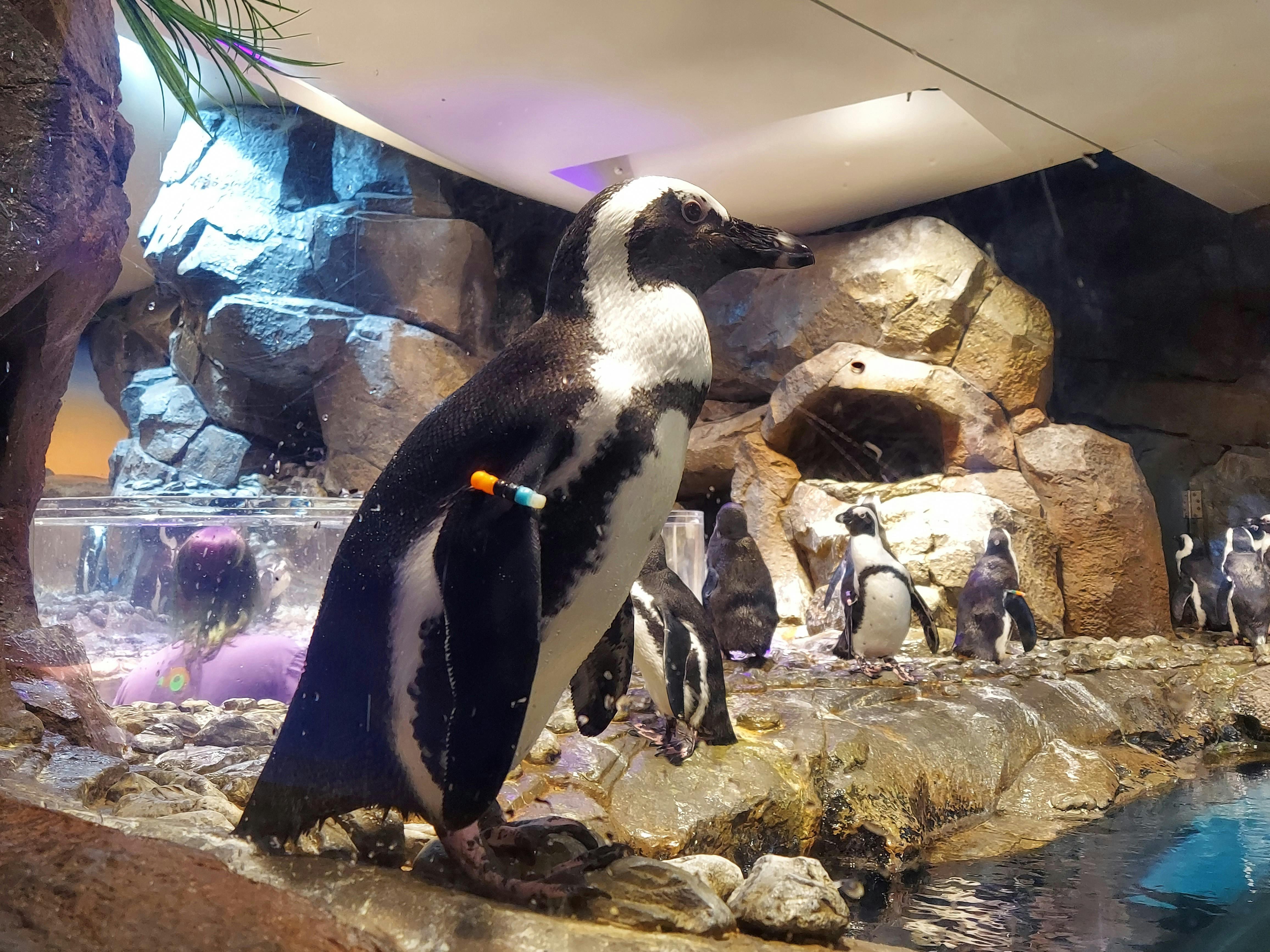 user avatar image for Amber Power