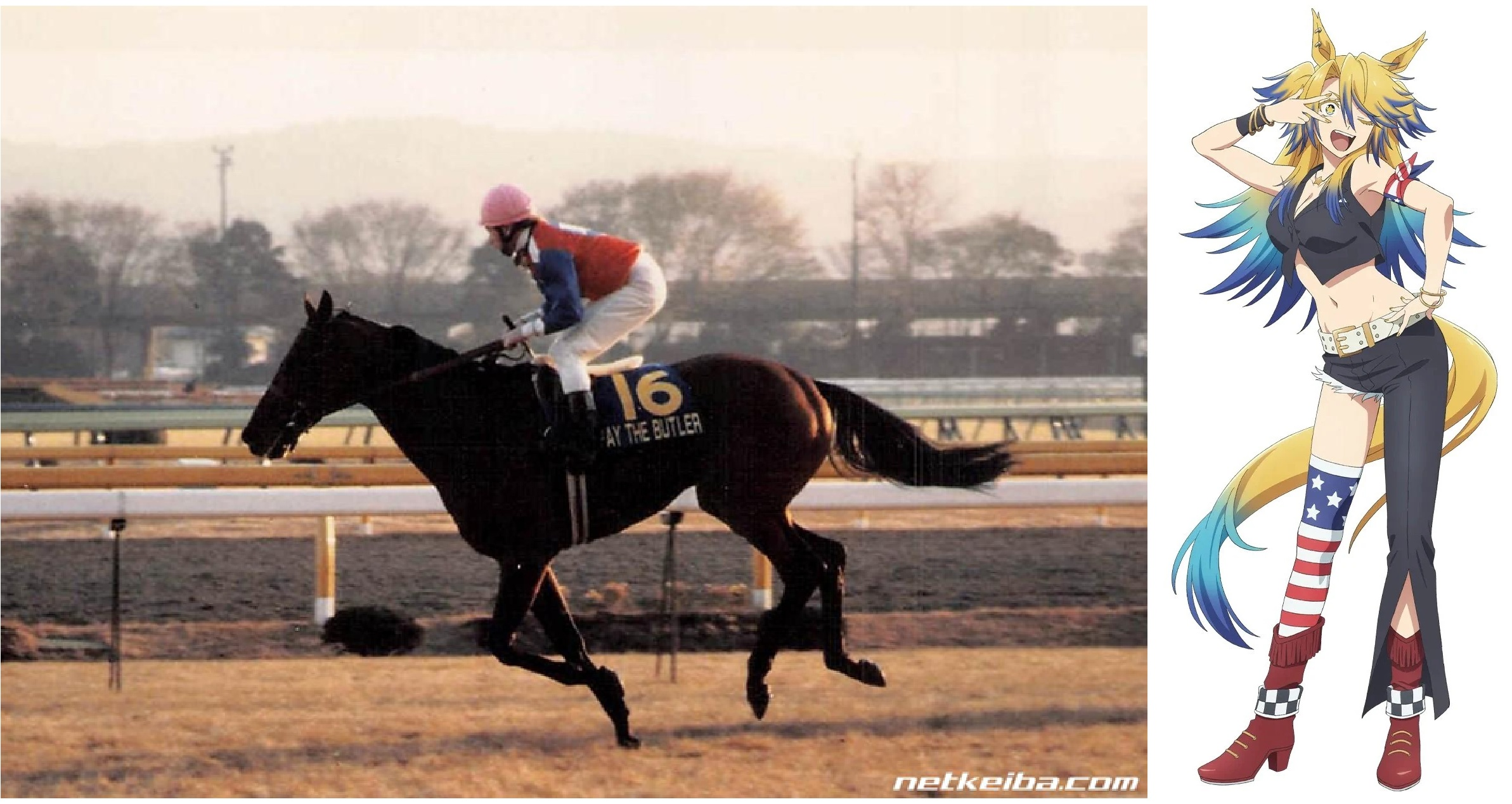 user avatar image for Steve Beyer