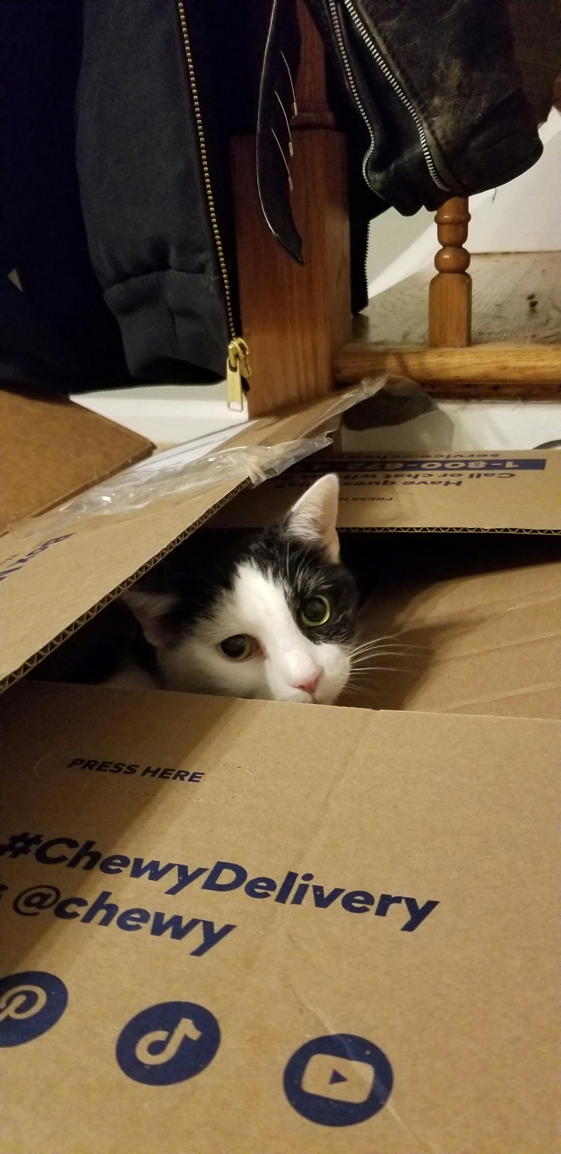 user avatar image for Erin Durange