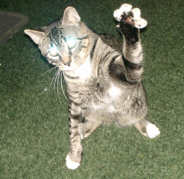 user avatar image for Mary Hodge