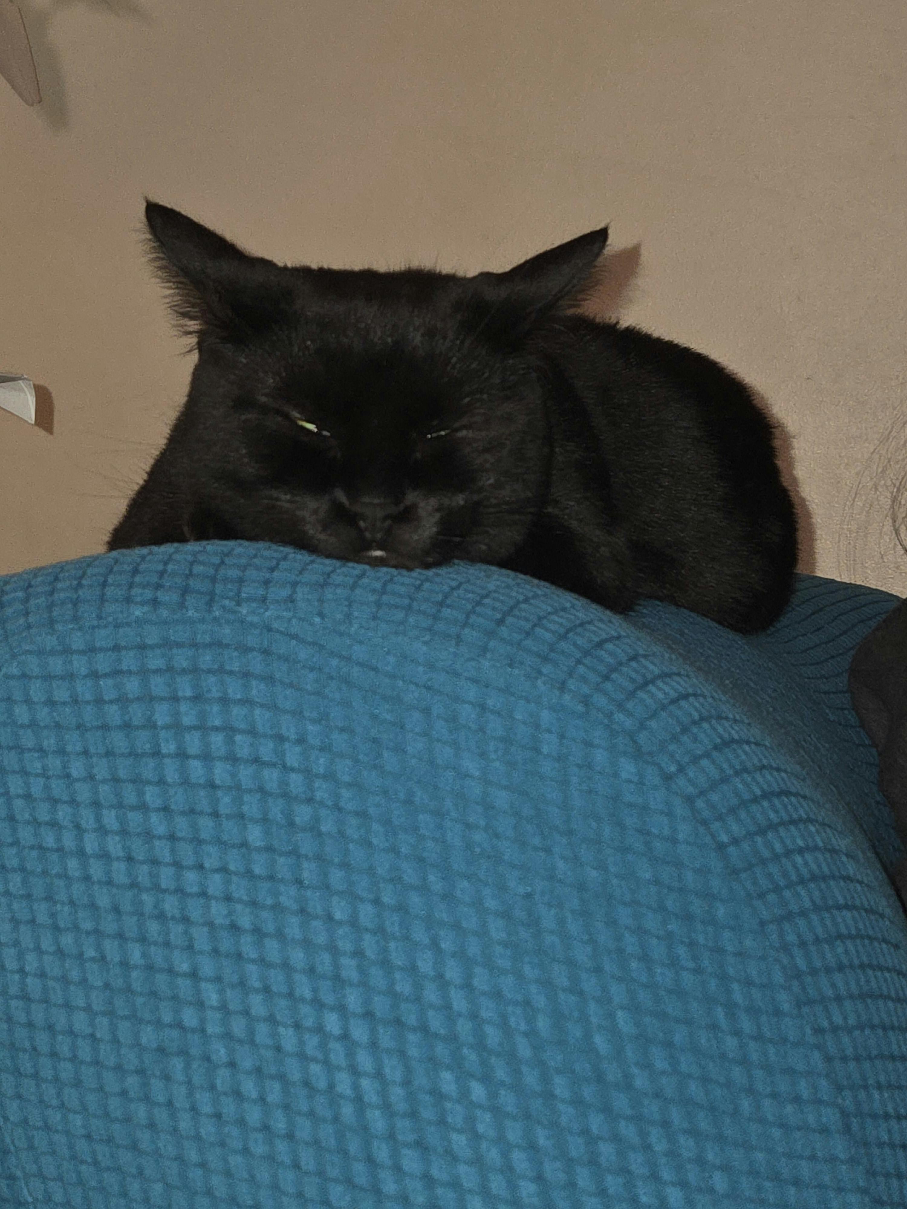 user avatar image for kindlar