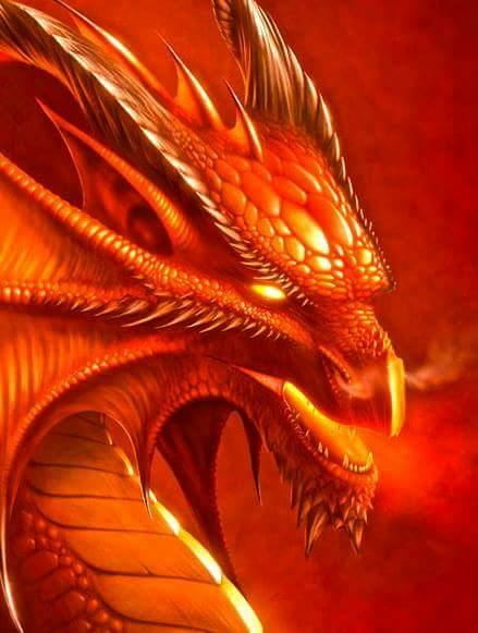 user avatar image for MagicDragonLord