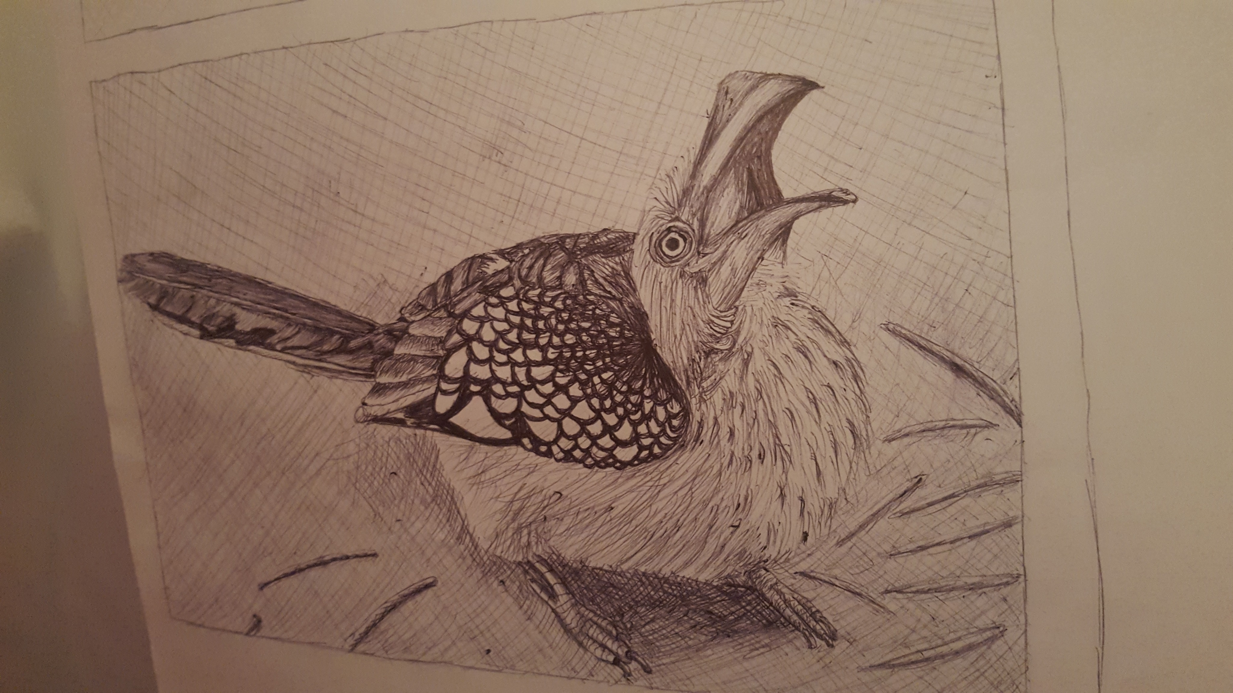 user avatar image for Kalli