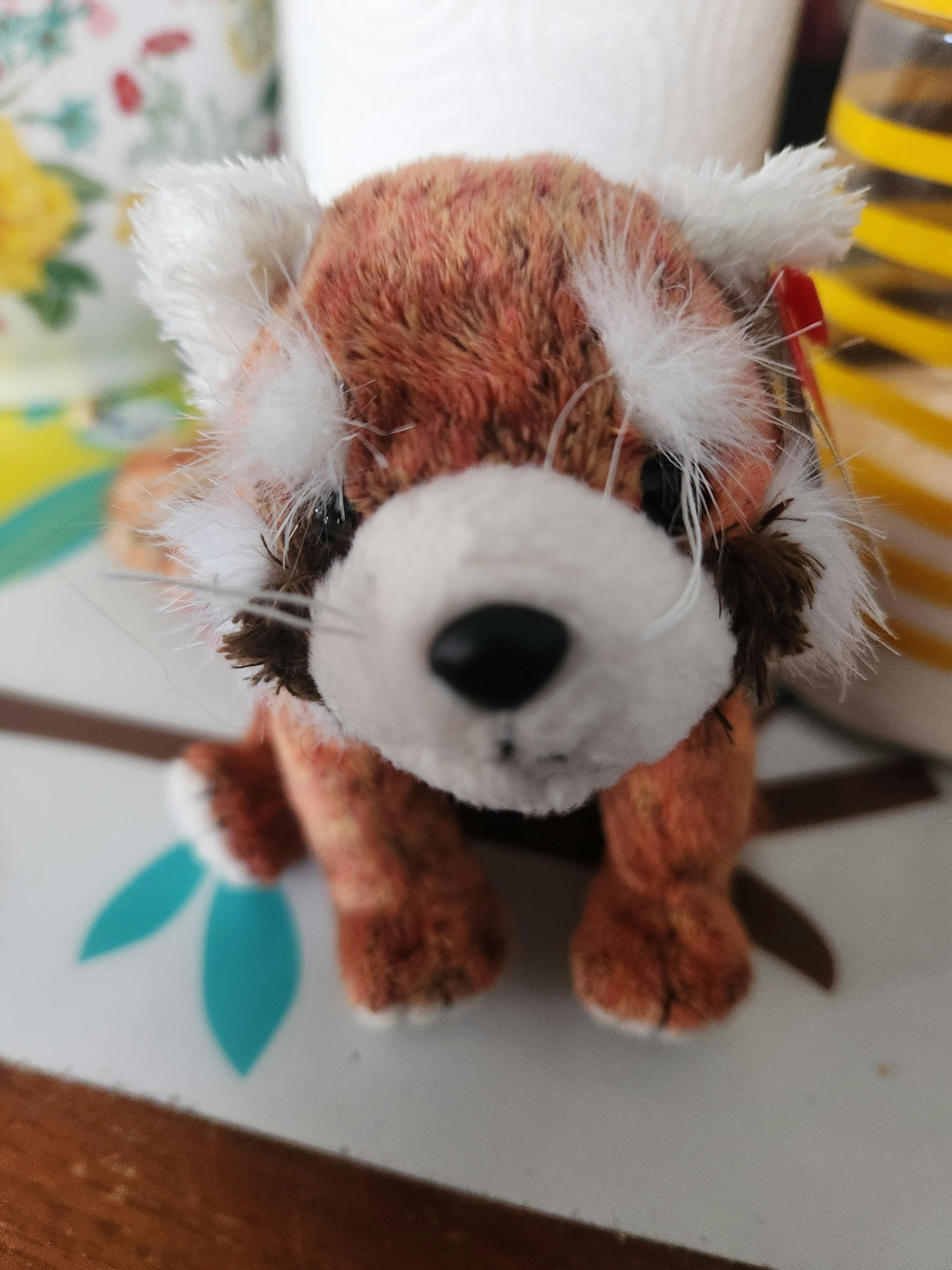 user avatar image for Mango Slushiezzz