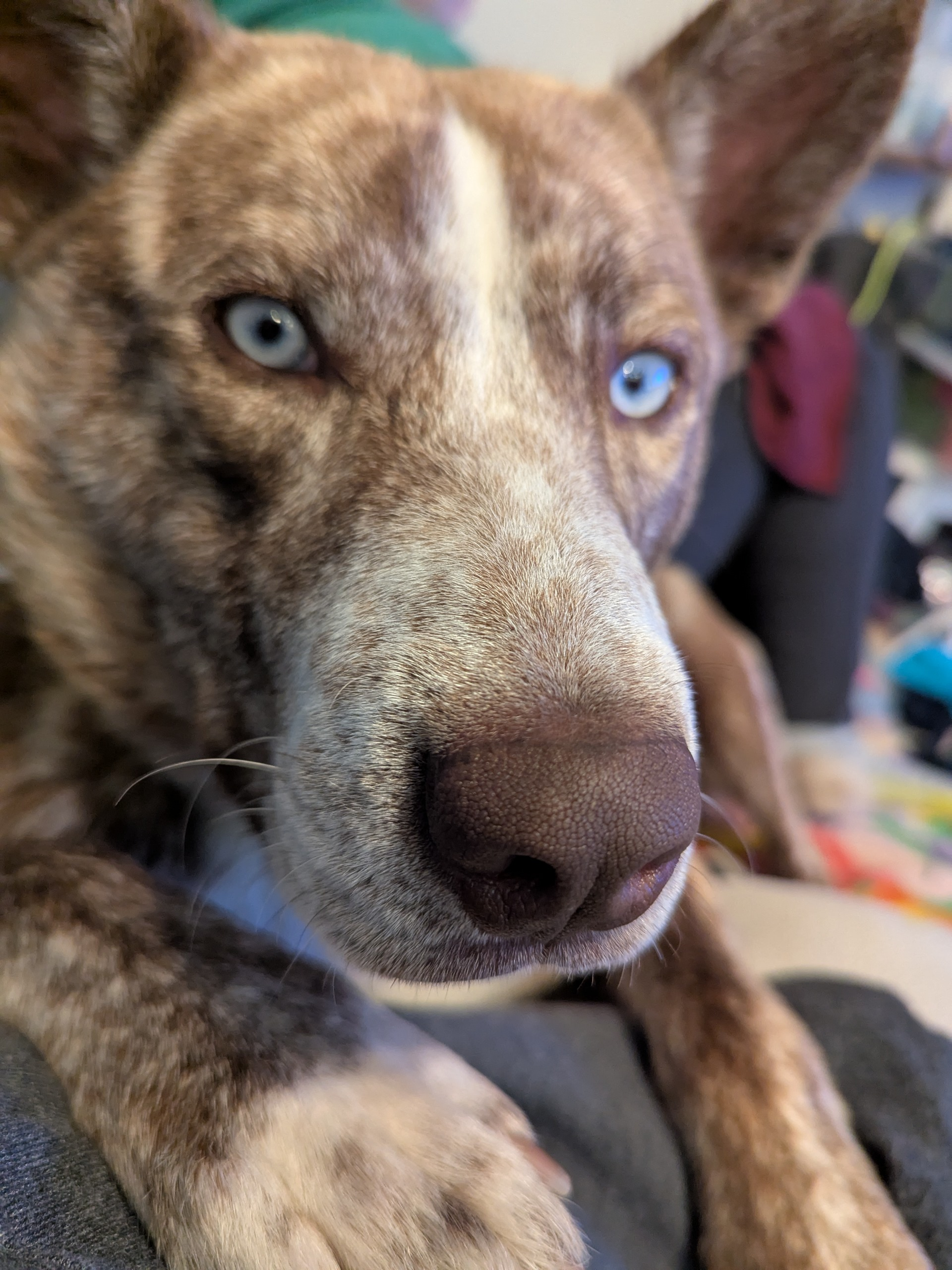 user avatar image for James Michael Thomas