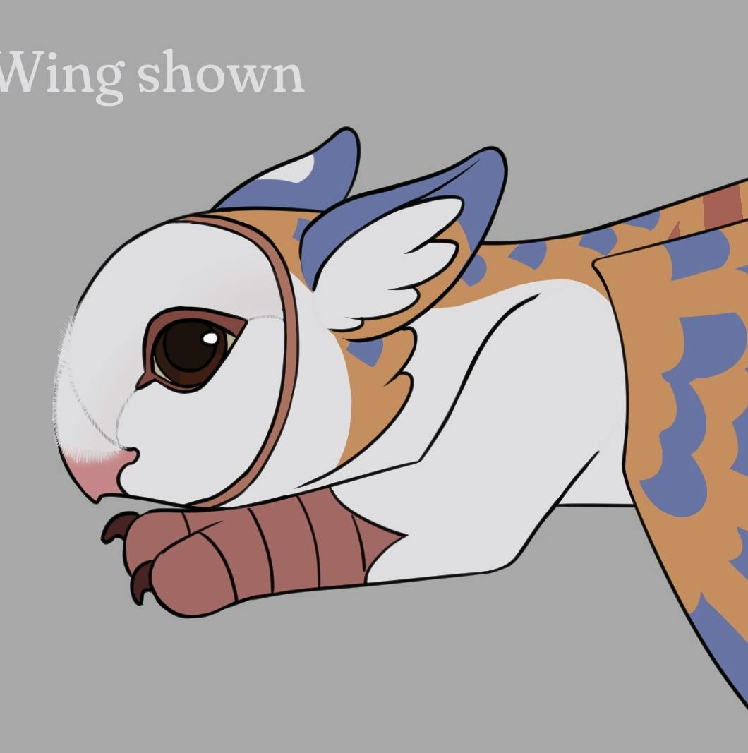 Barn Owl Golden Tiger