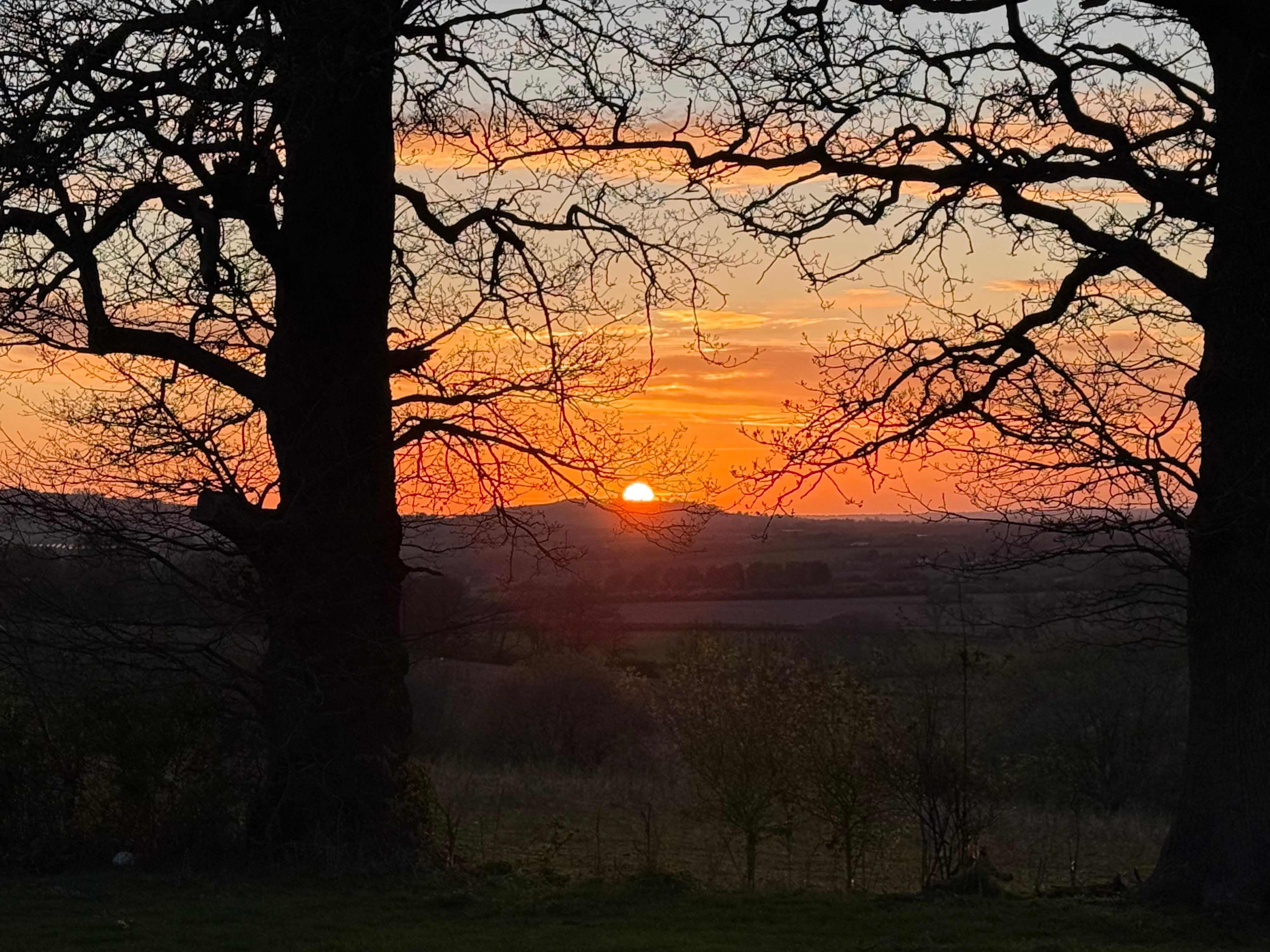 user avatar image for Reuben Taylor