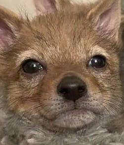 user avatar image for Edeughaneughan