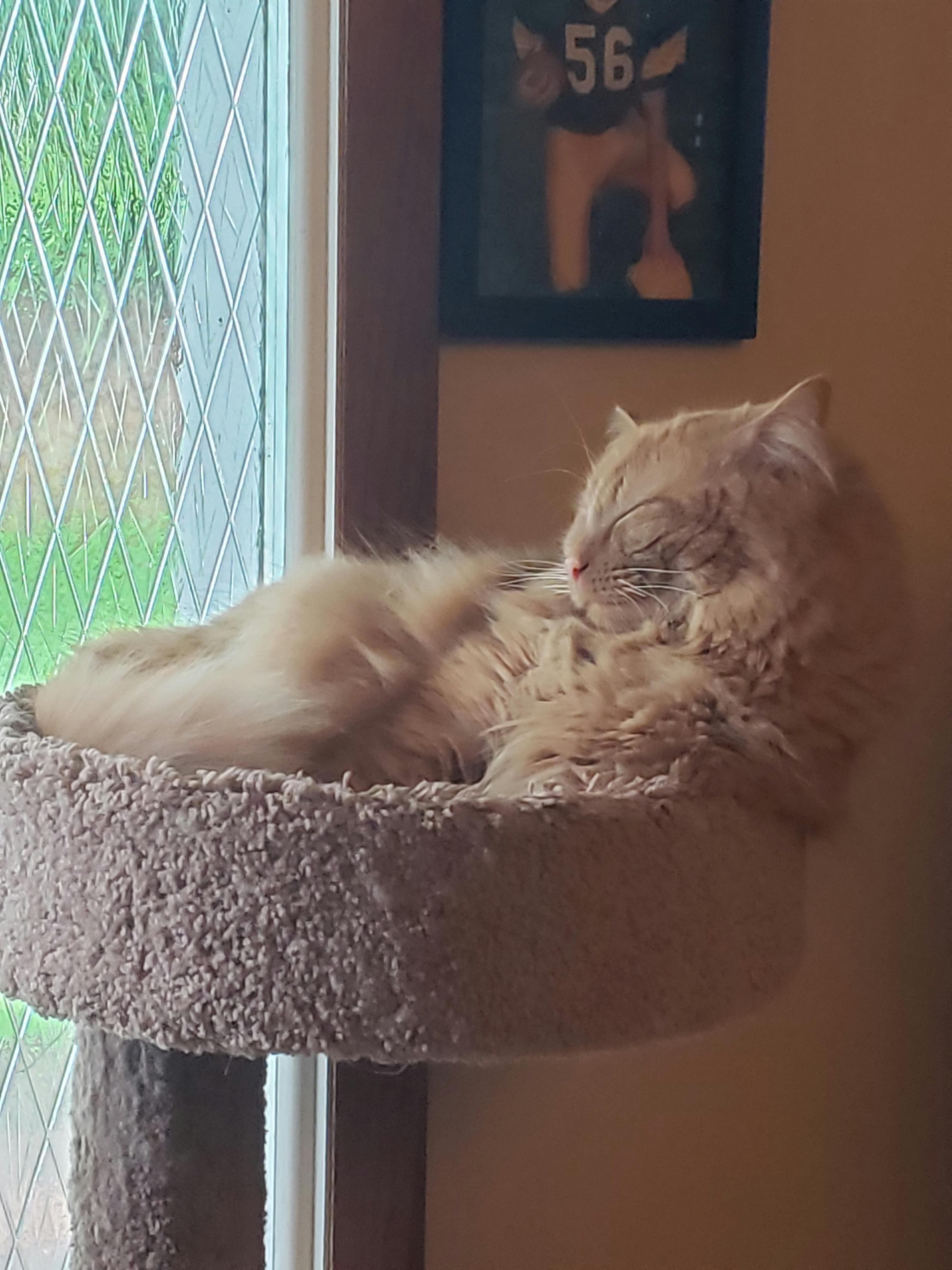 user avatar image for Catherine Borig