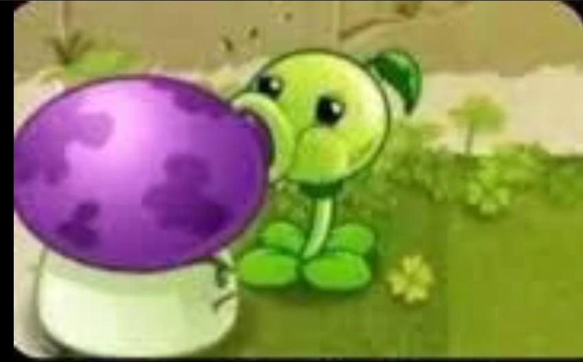 user avatar image for Bluechirpy