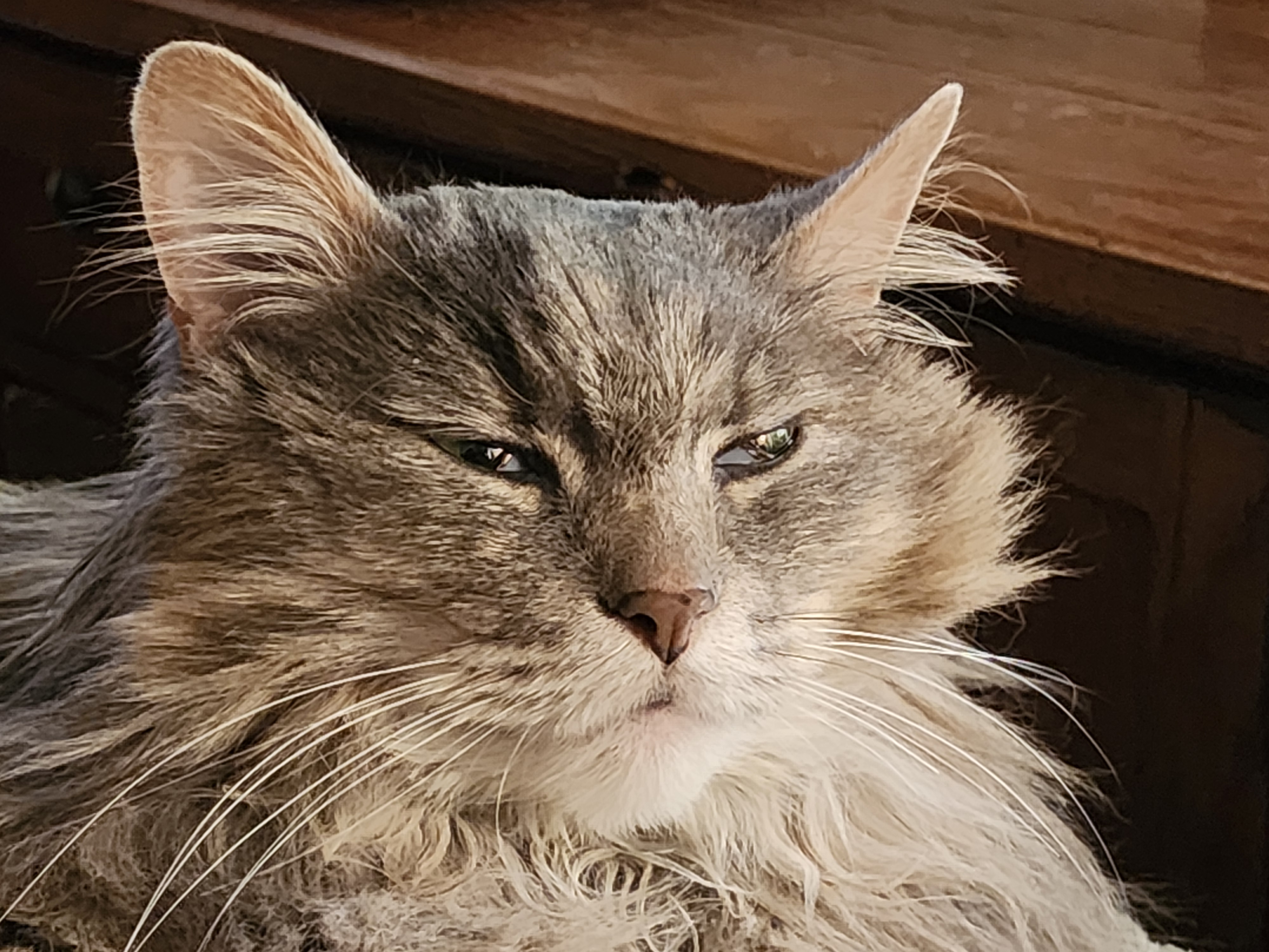 user avatar image for meted73