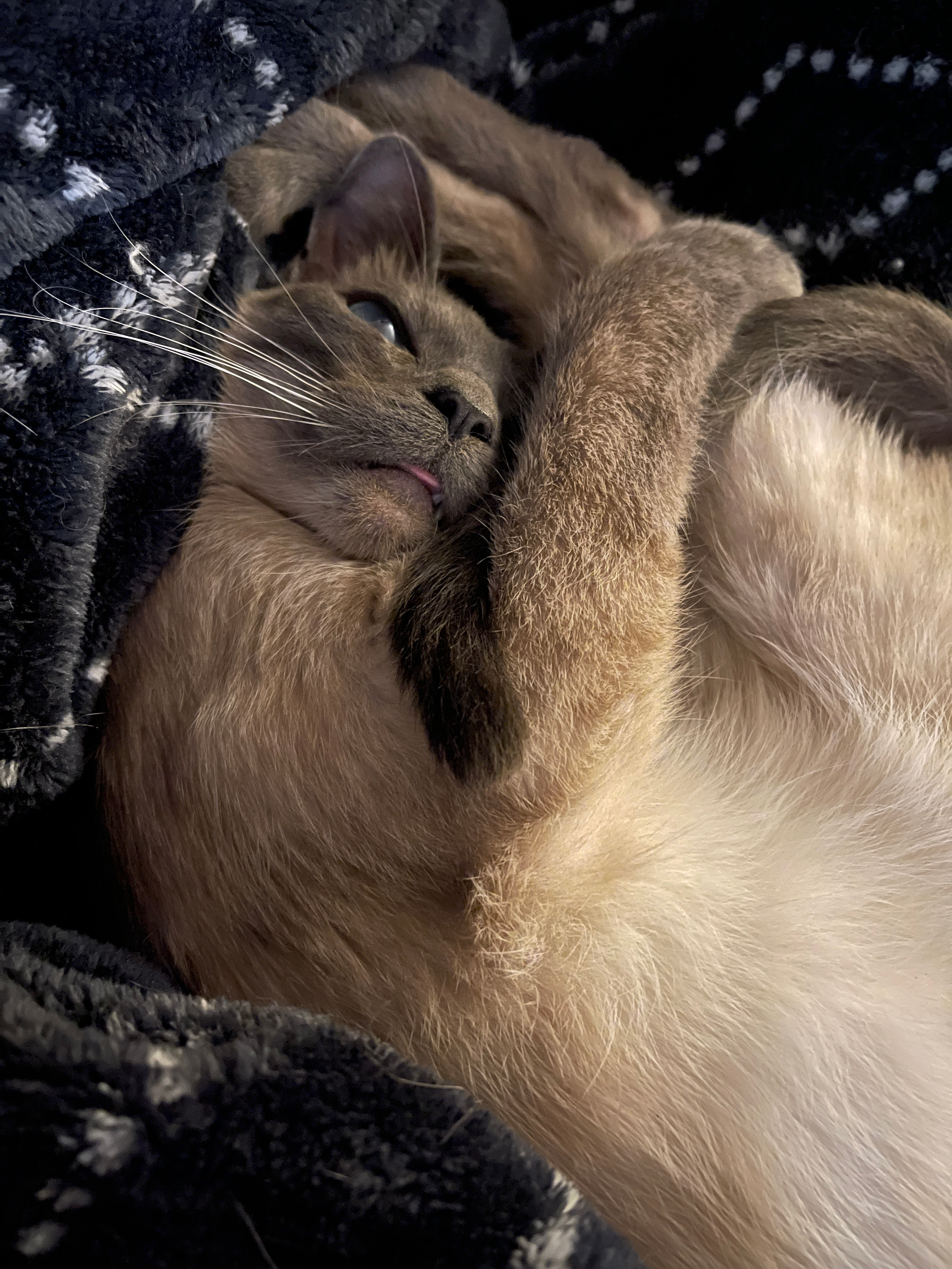 user avatar image for Ashley