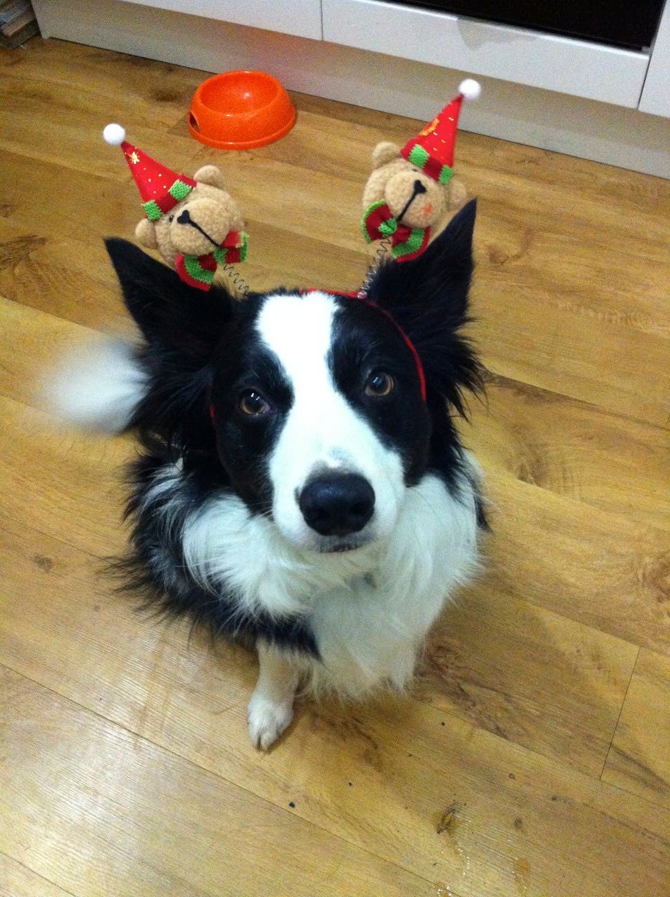 user avatar image for David Sansom