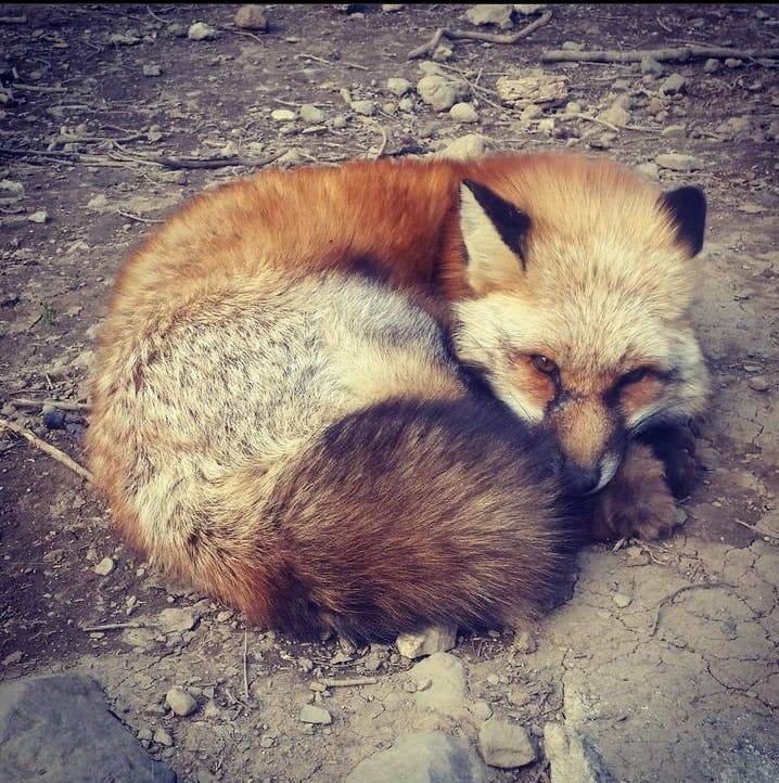 user avatar image for Paul