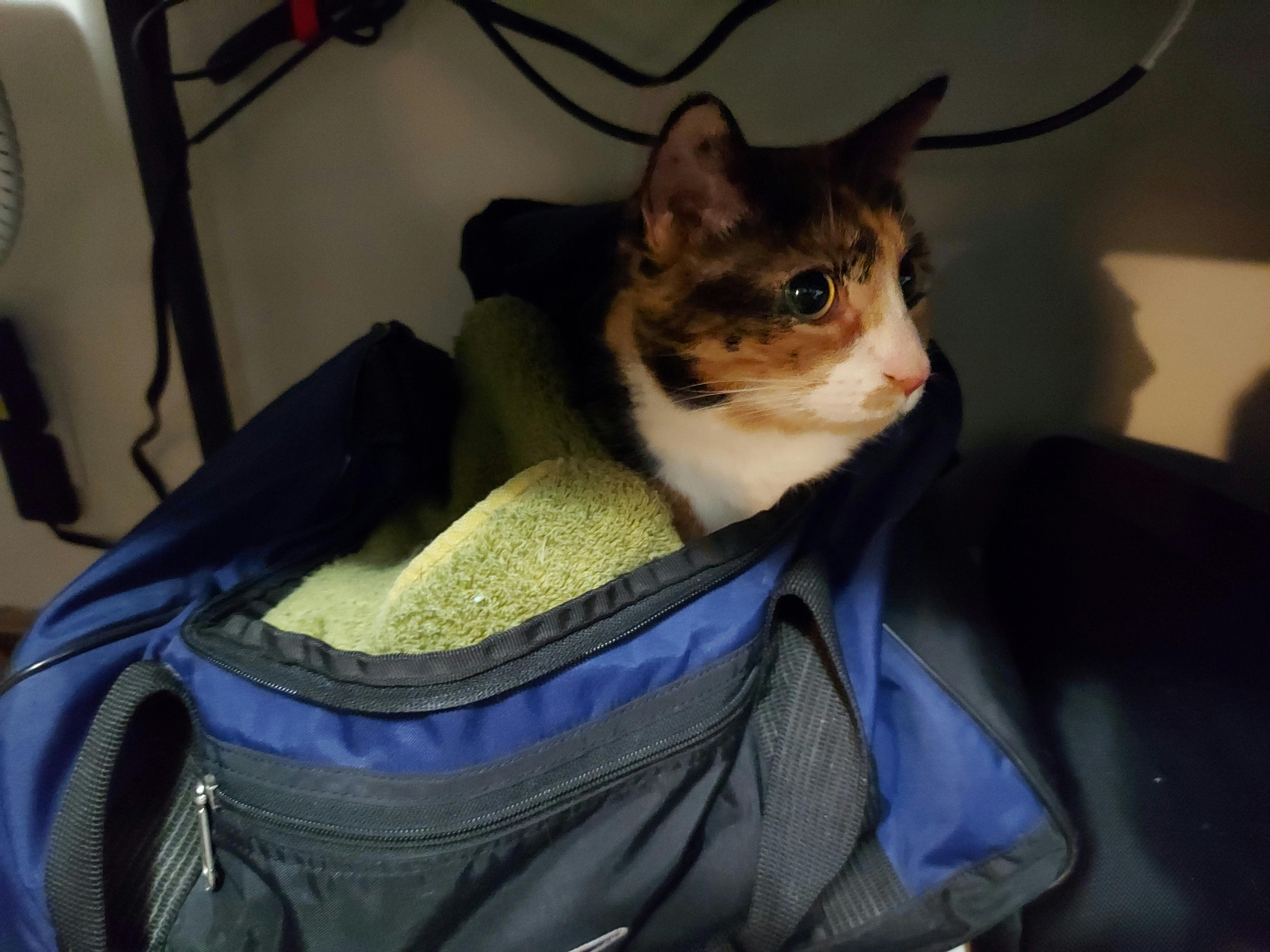 user avatar image for Tom Campbell