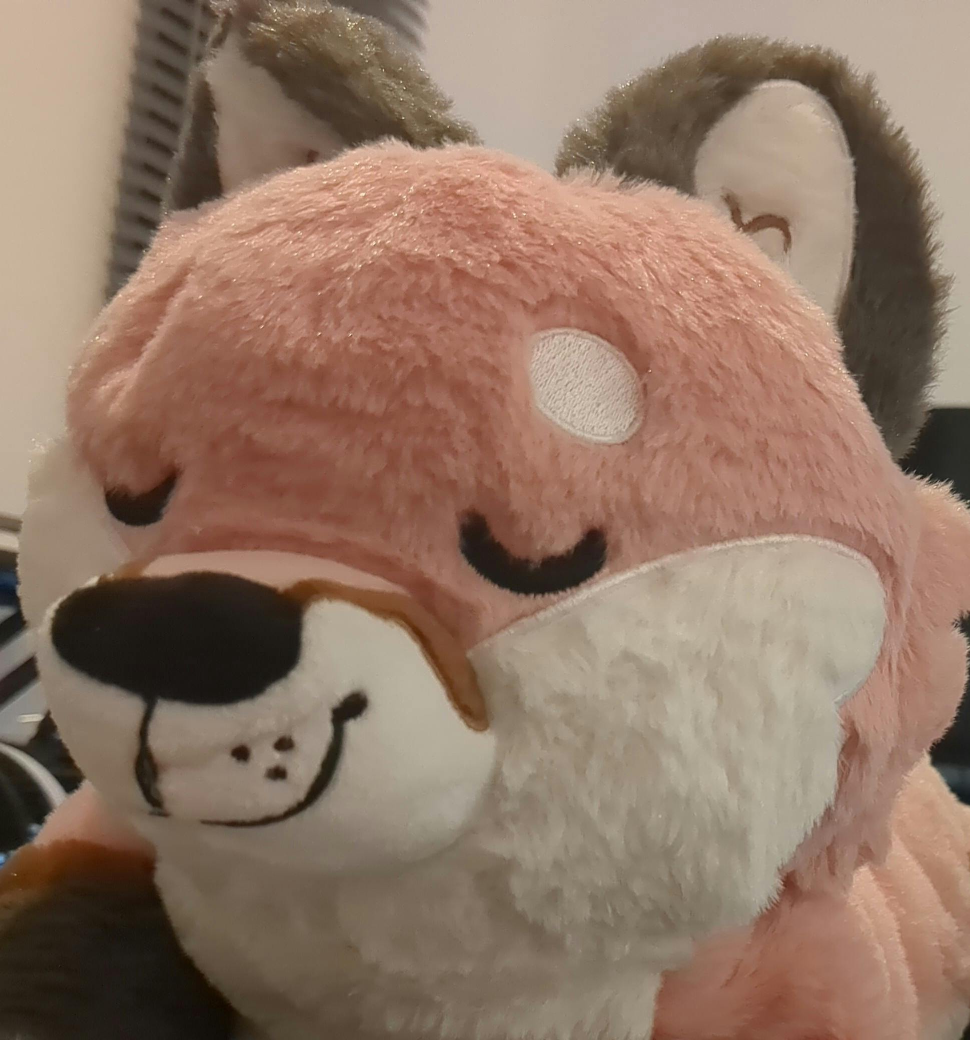 user avatar image for VulpineNoisyBoi