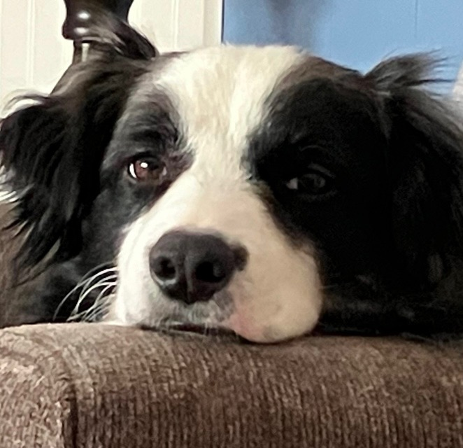 user avatar image for Brooke