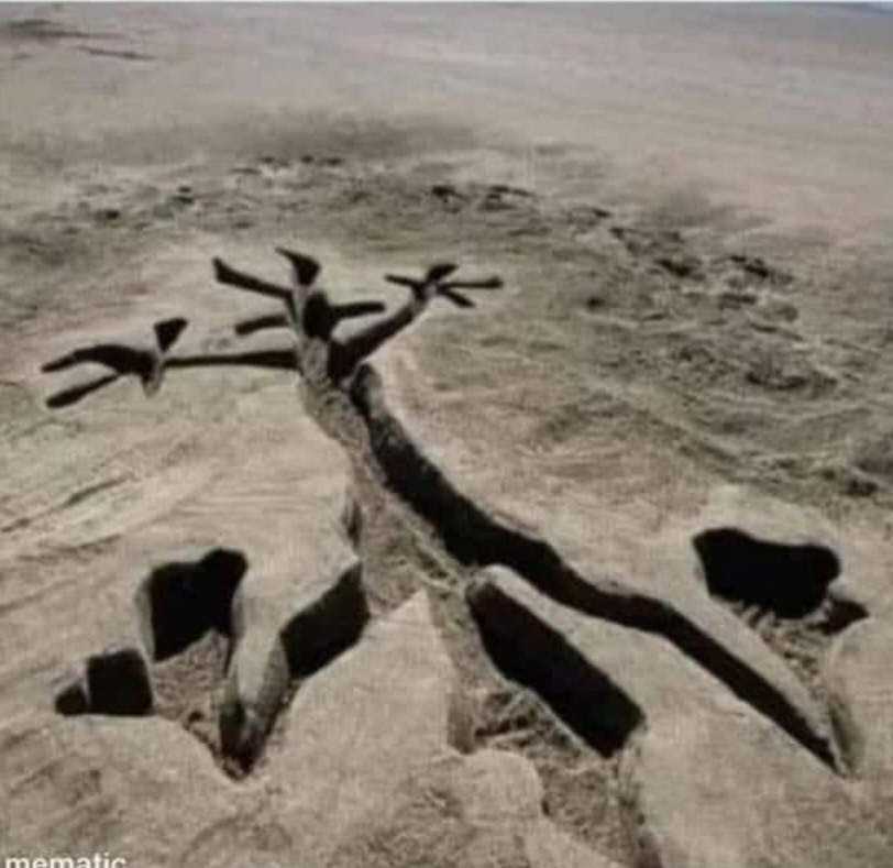 user avatar image for Michael Walsh