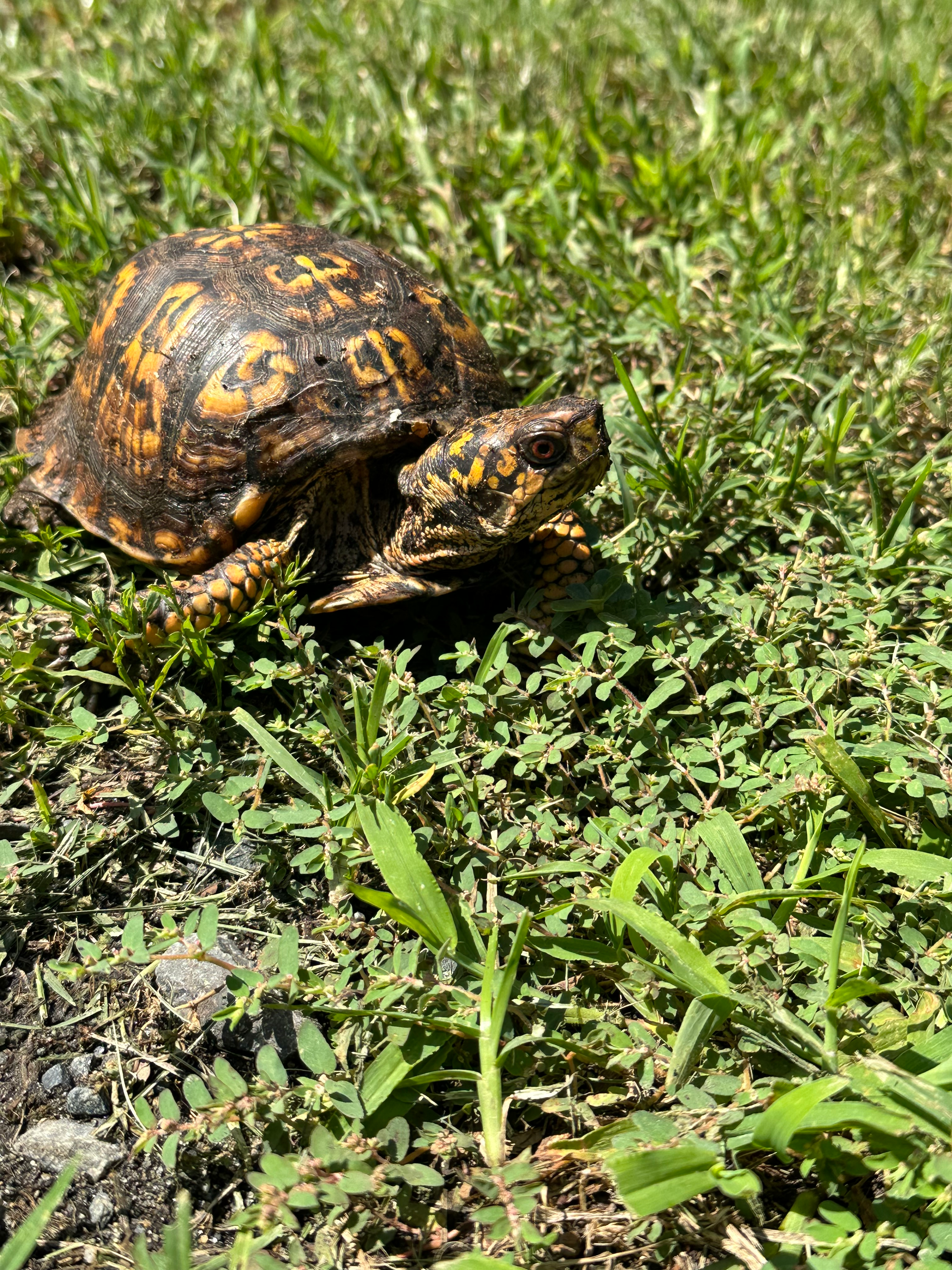 user avatar image for DrCellophane