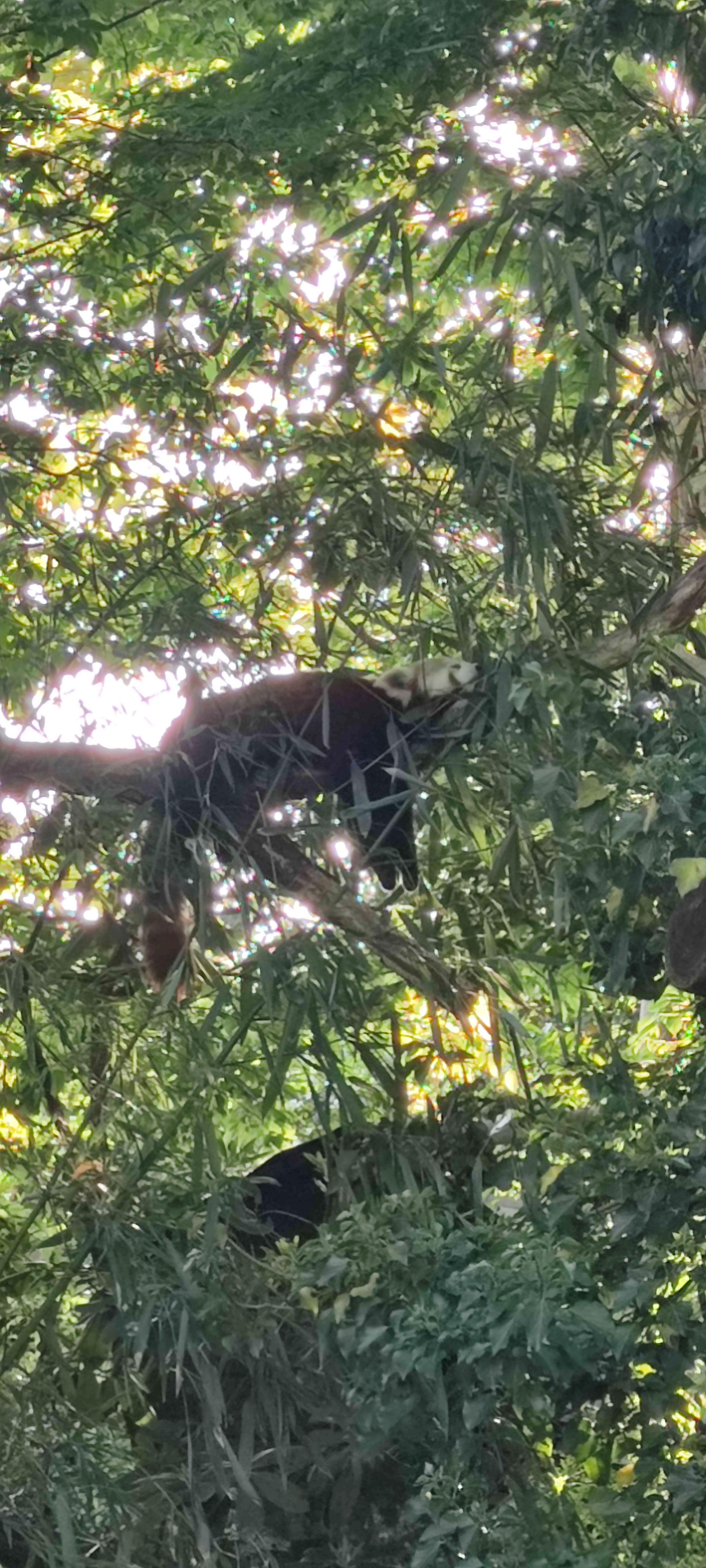 user avatar image for Free925