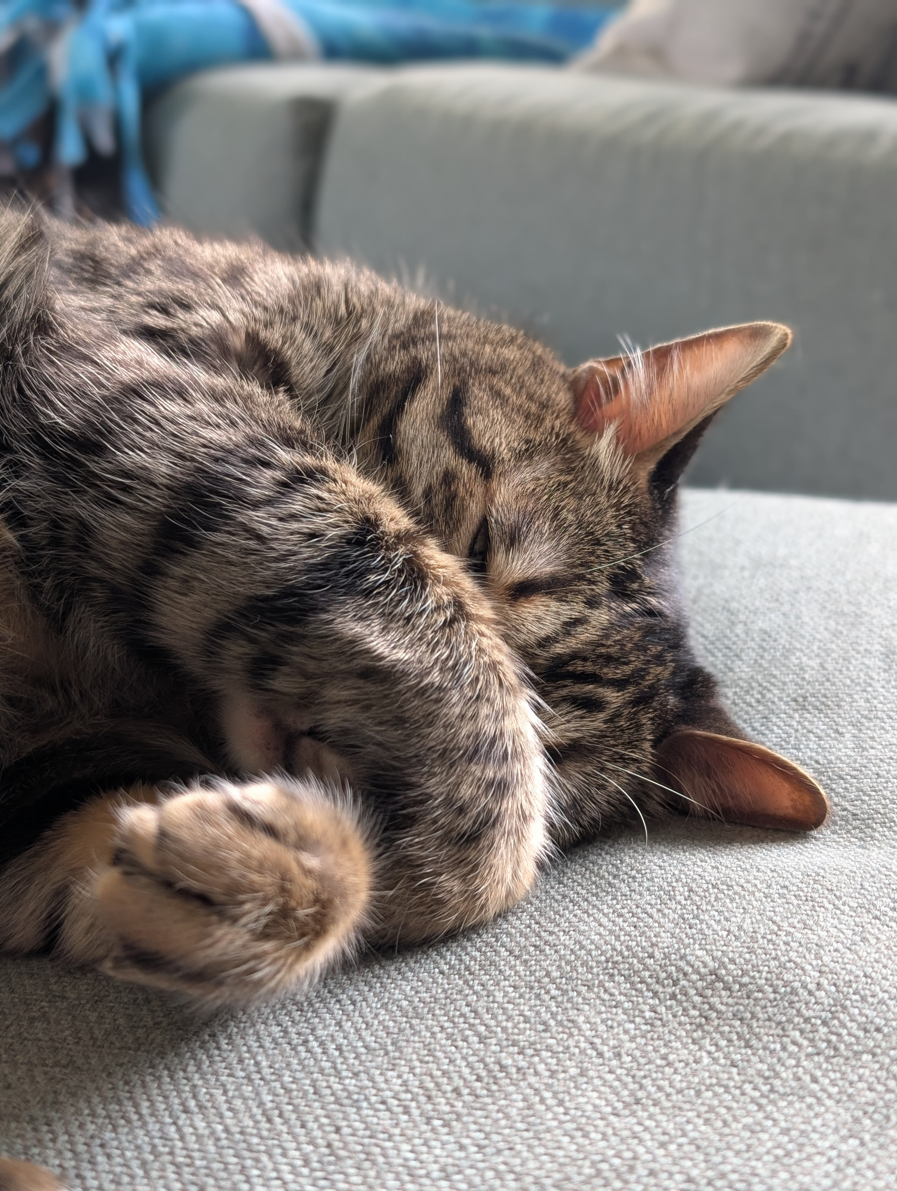 user avatar image for TramplingPenguin17