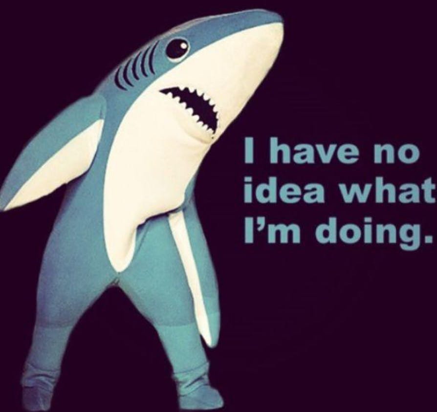 user avatar image for Doug Law